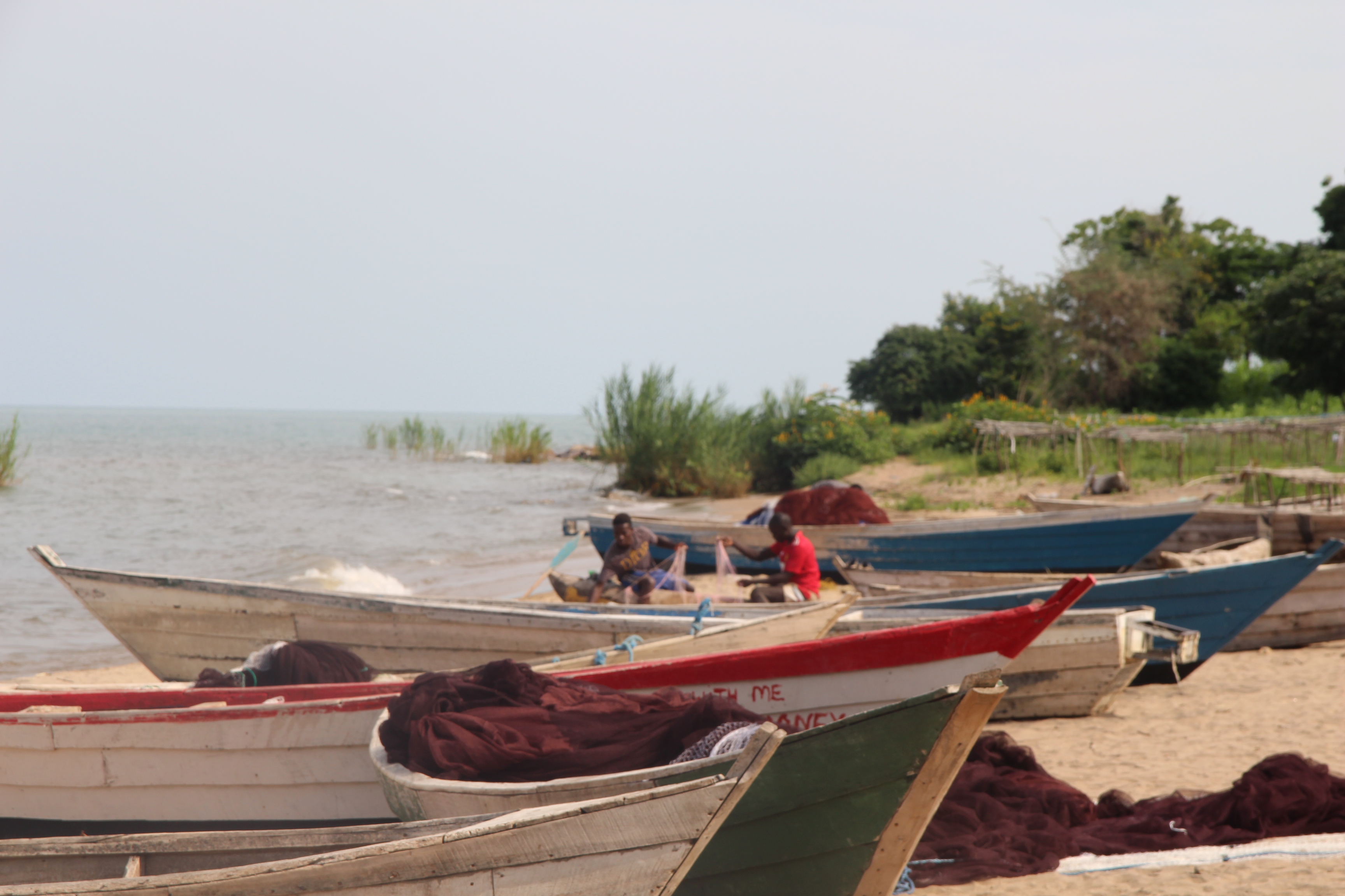 Fishermen lay out their nets at Luwichi beach fishing camp on Lake Malawi's shores, Malawi [ Feston Malekezo/Al Jazeera]