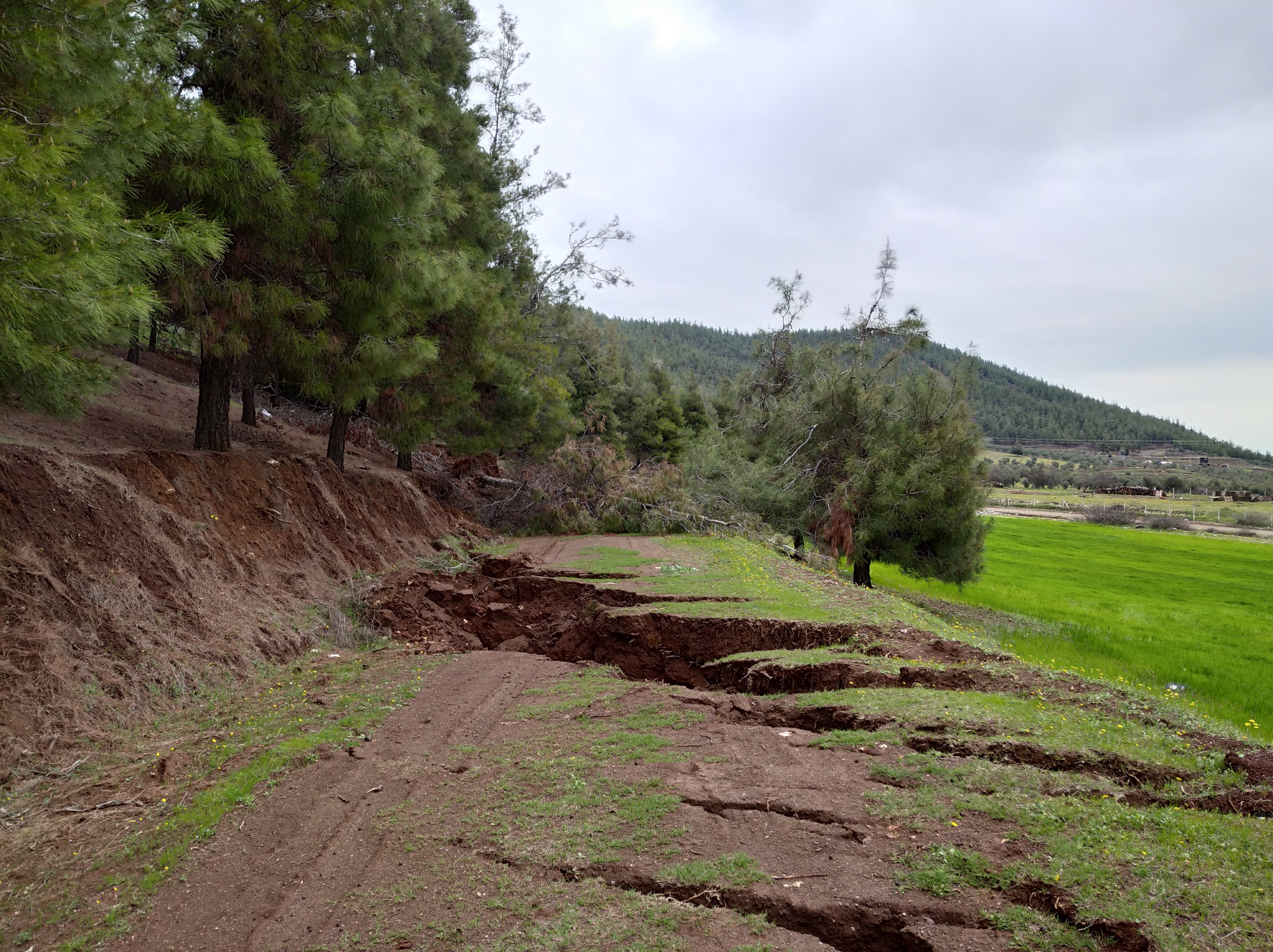 A photo of a road with a hole in the middle.