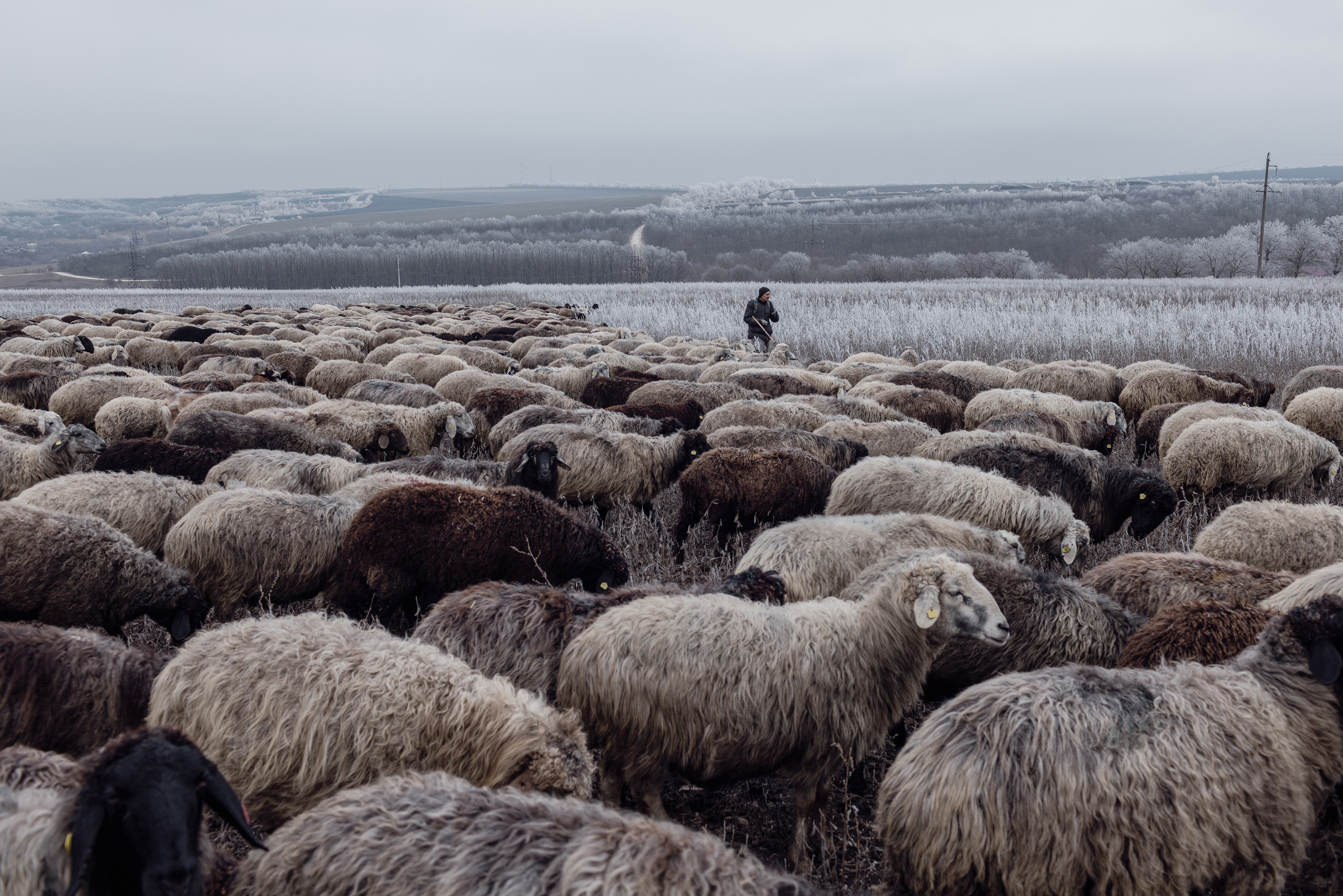 In Moldova, Ukraine War and Russian Propaganda Foster Deepening Divisions