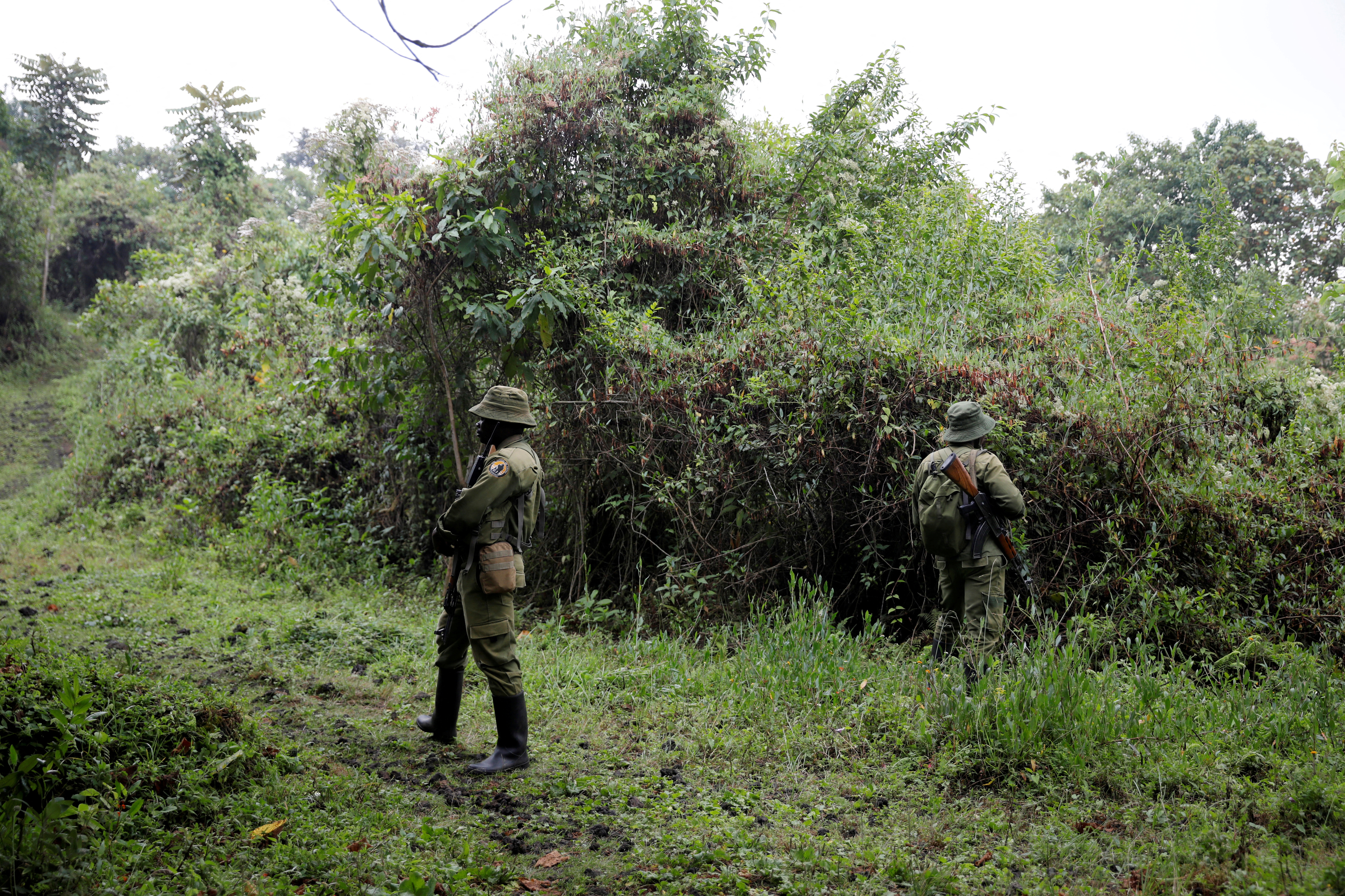 Virunga park rangers guard tourists