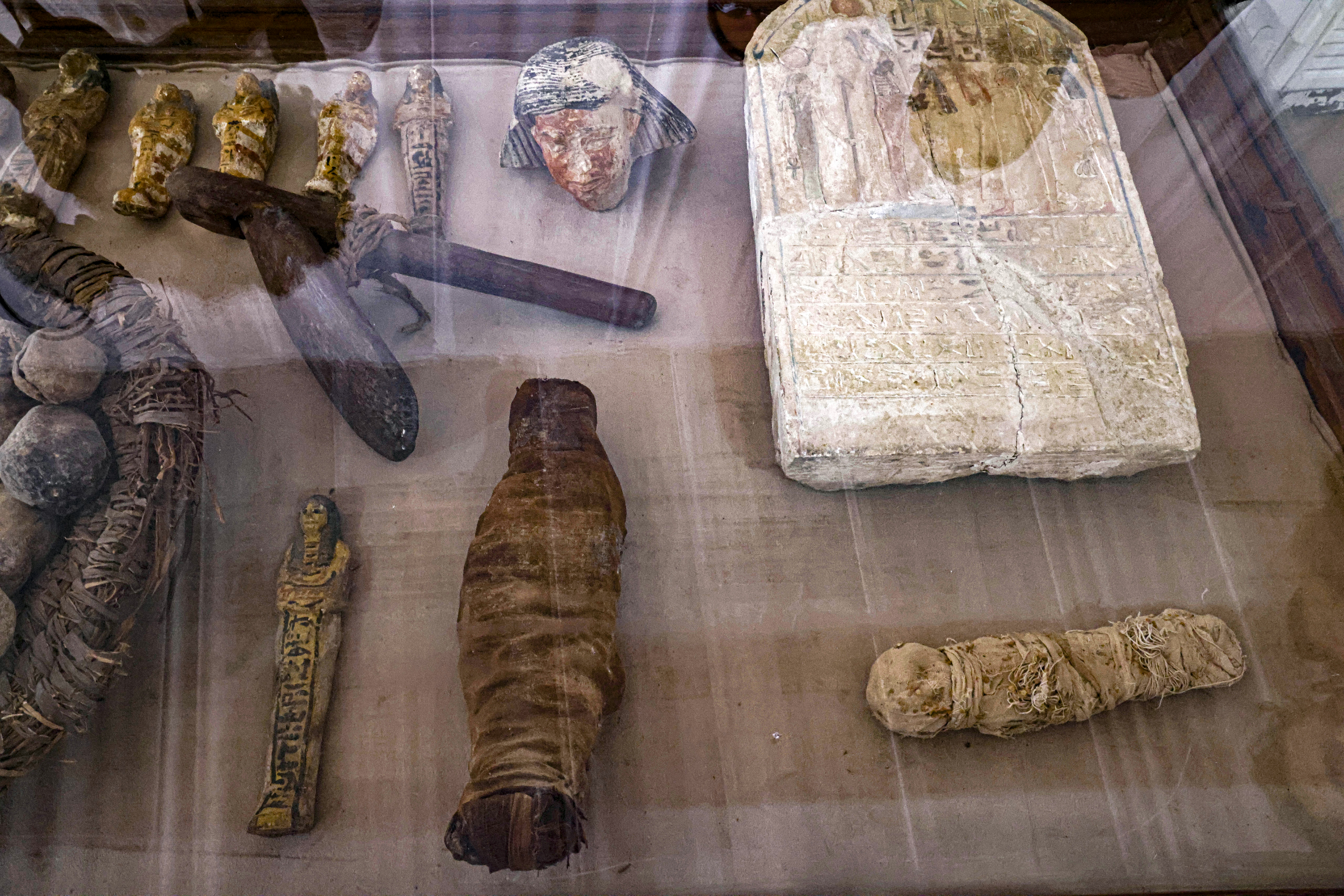 Newly discovered small mummified animals