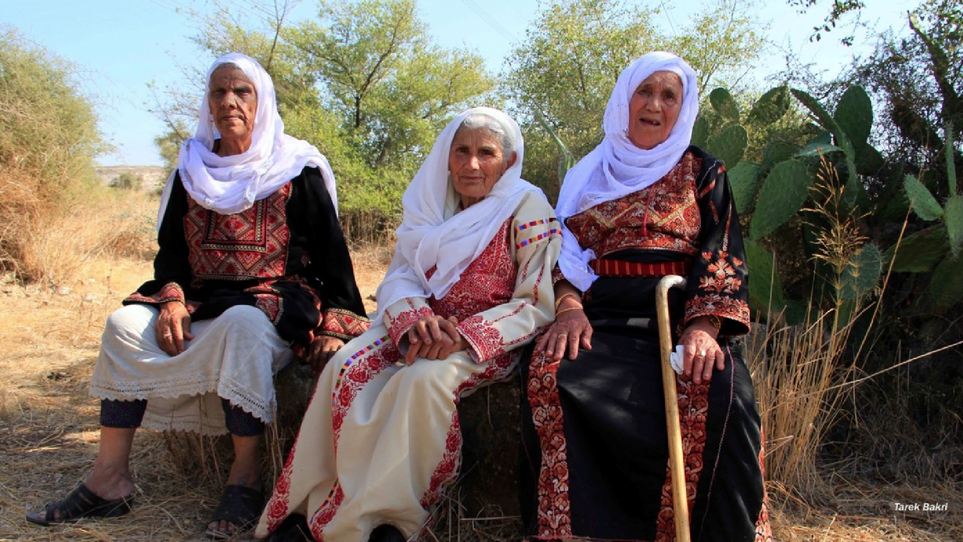 INTERACTIVE - NAKBA Chapter 6 horizontal-1684046675