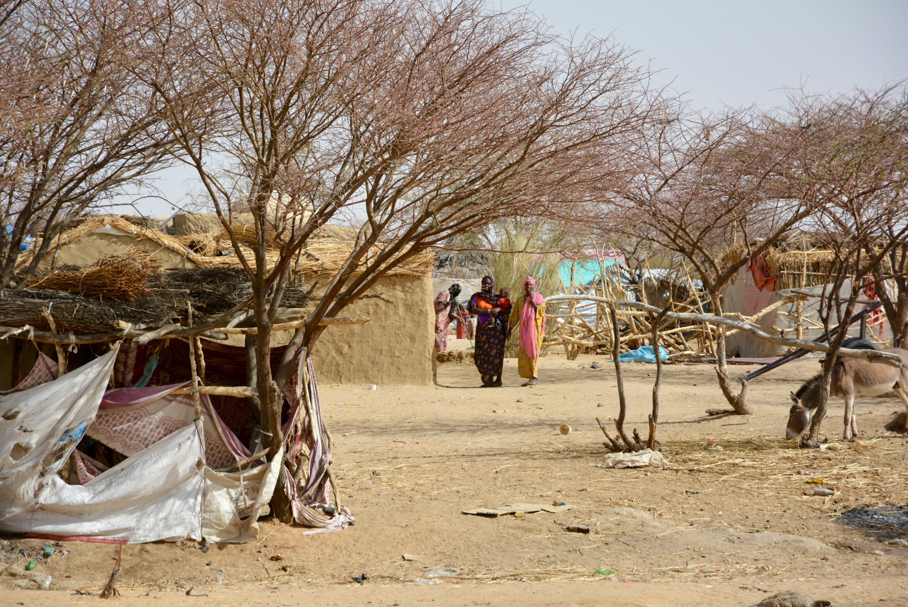 Displaced persons camp near Tina, North Darfur
