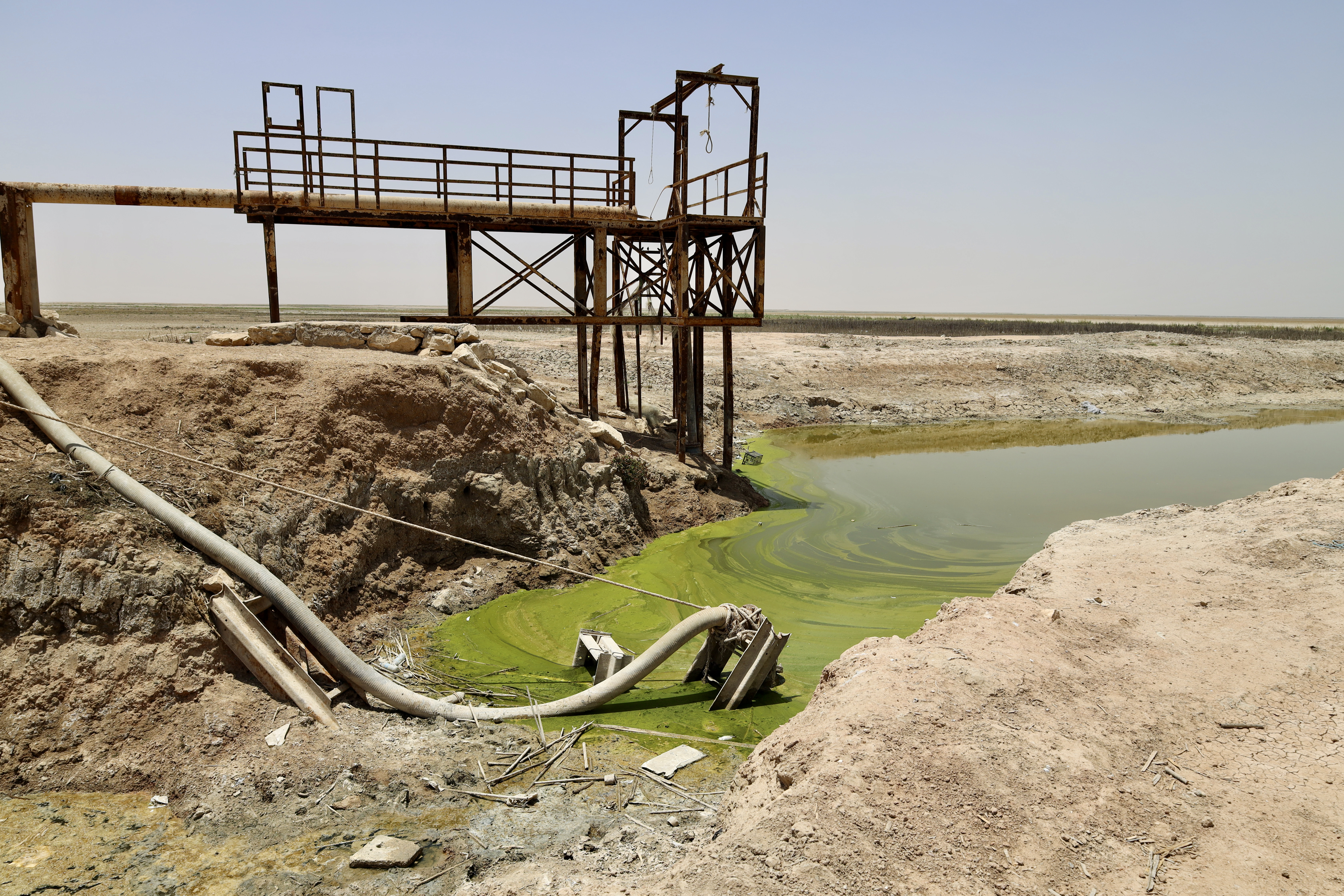 The closest water to Al Ankour, lime green and polluted from flow of water to the lake. A former pipe used to transport water from Habbaniyah Lake to the village sits discarded in the sludge.