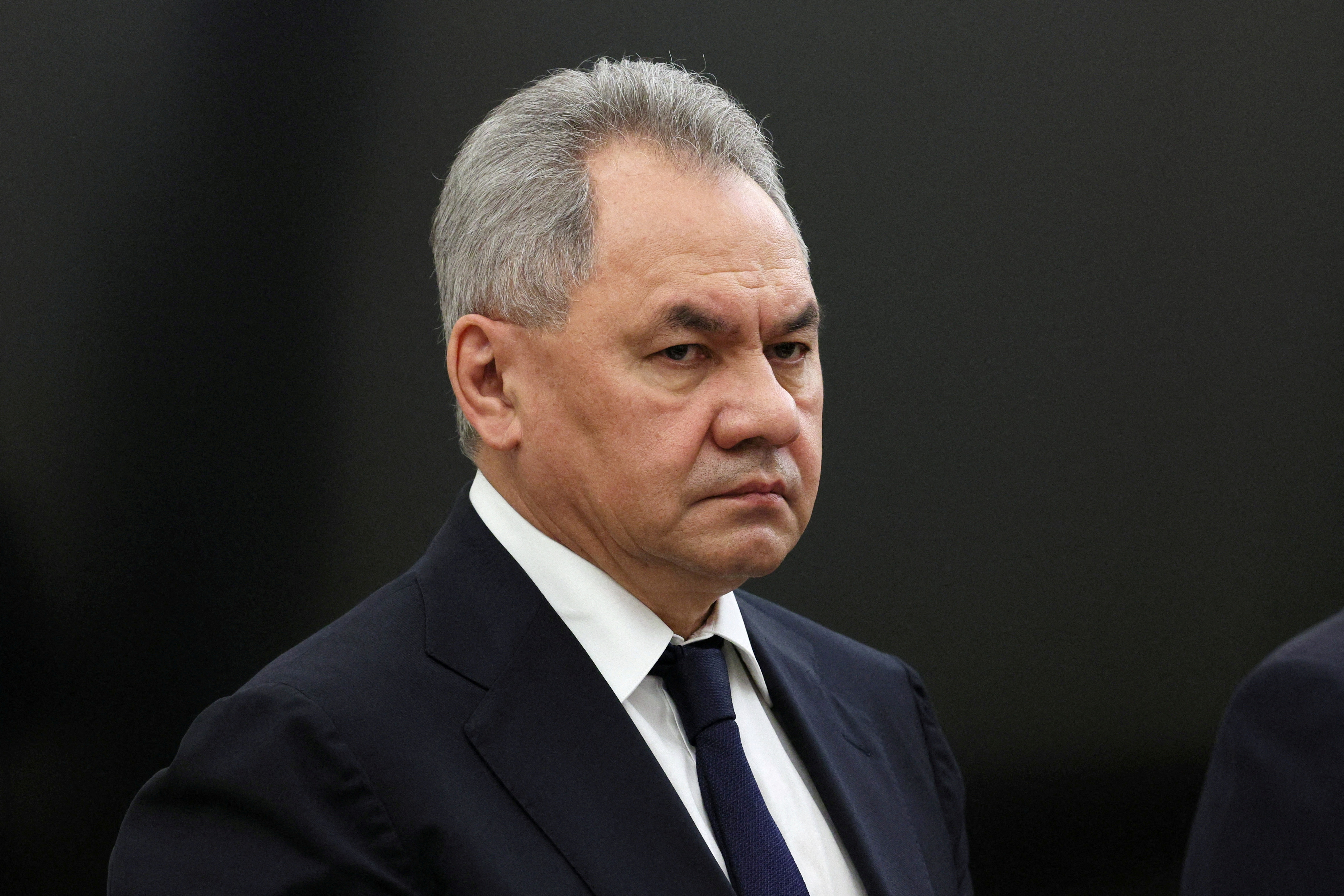 Russian Defence Minister Sergey Shoigu