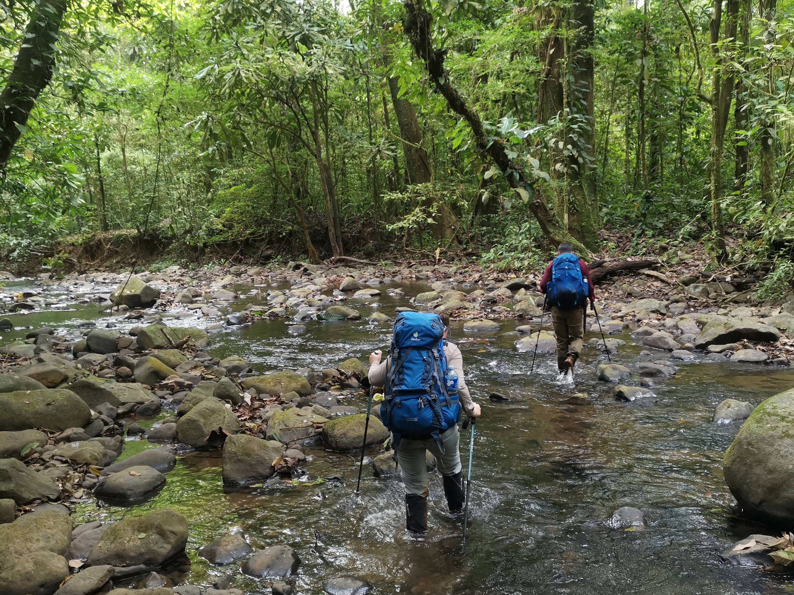 Tourists hike during an excursion through the Darien Gap