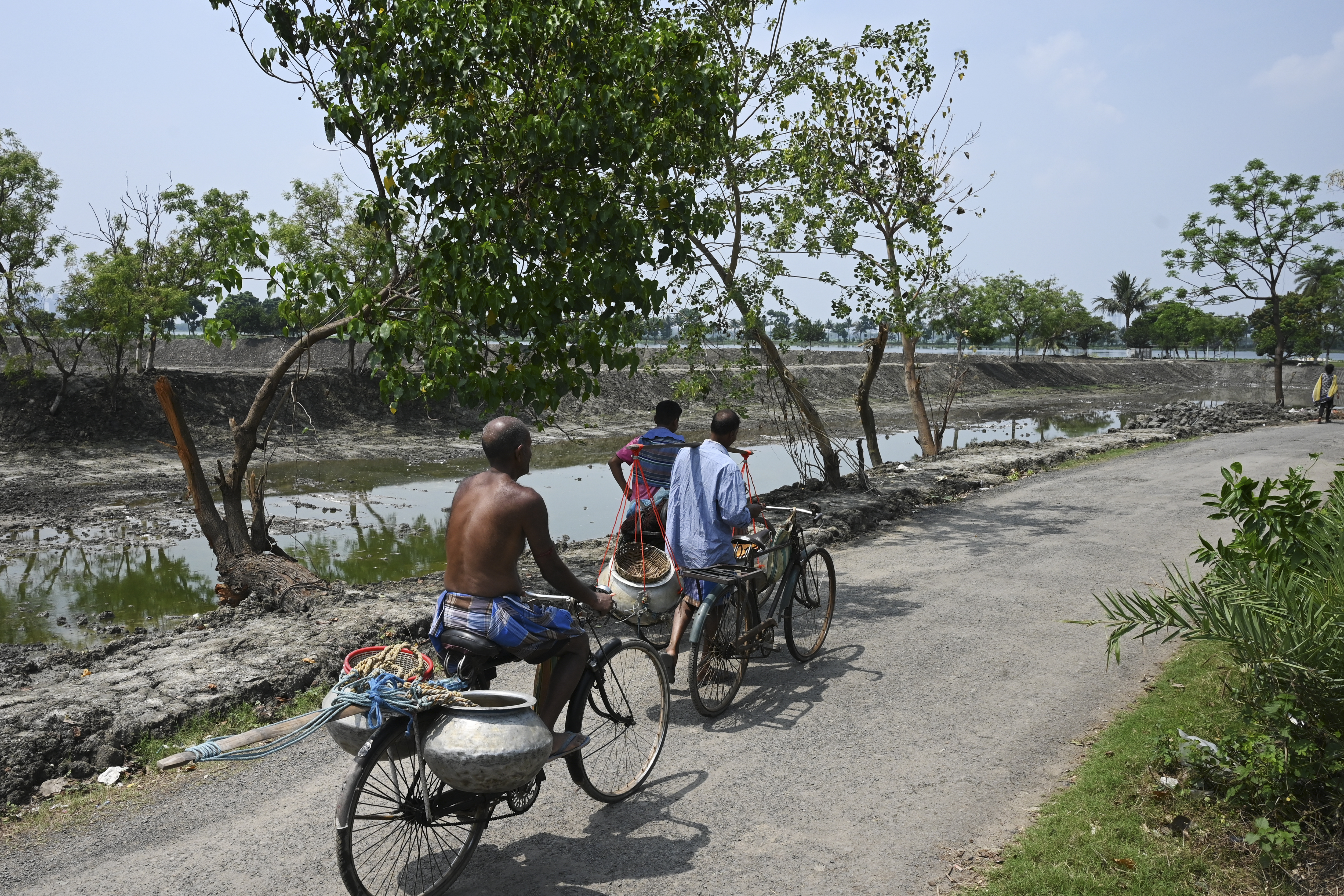 Wetlands just outside India's Kolkata have for generations provided tonnes of food daily and thousands of jobs as they filter sewage through fish ponds -- but rapid urbanisation is threatening the ecosystem.