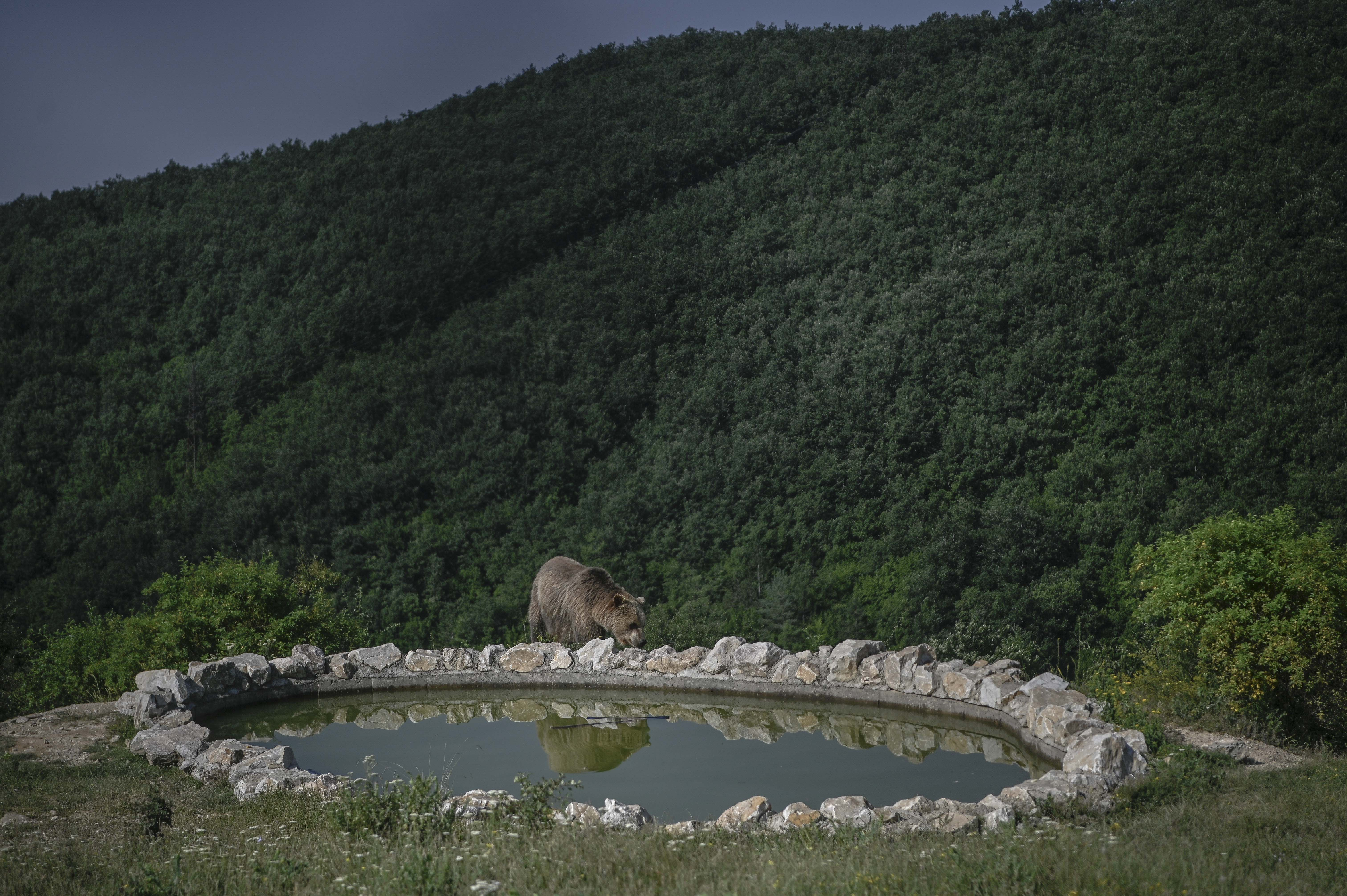 Dangerous heatwaves strike globe as wildfires rage