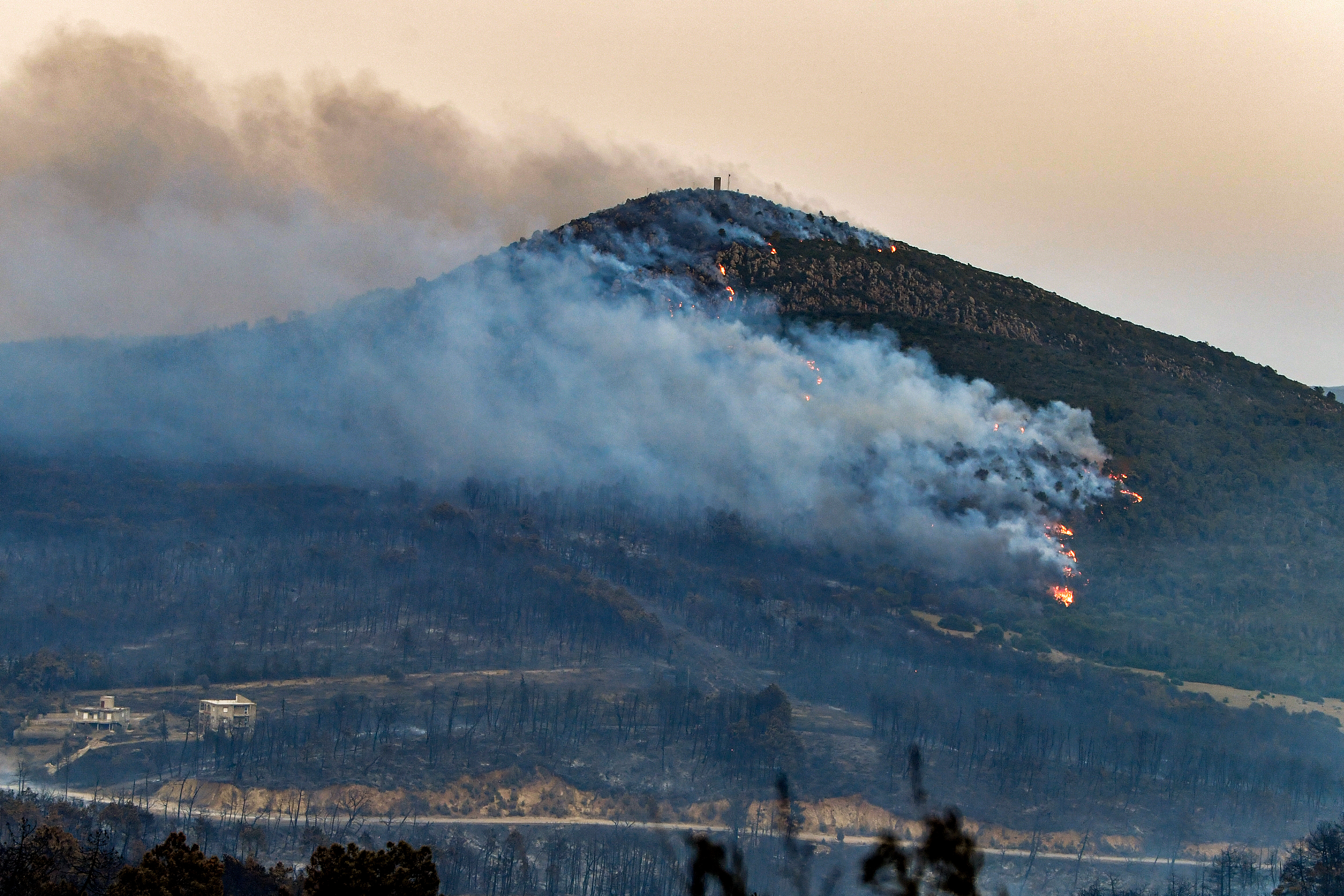 A forest fire rages on a hill near the town of Melloula in northwestern Tunisia close to the border with Algeria on July 24, 2023. - Fires raged again on July 24 in a Tunisian pine forest near the border with Algeria, after another blaze in the area the prior week. Wildfires raging across Algeria