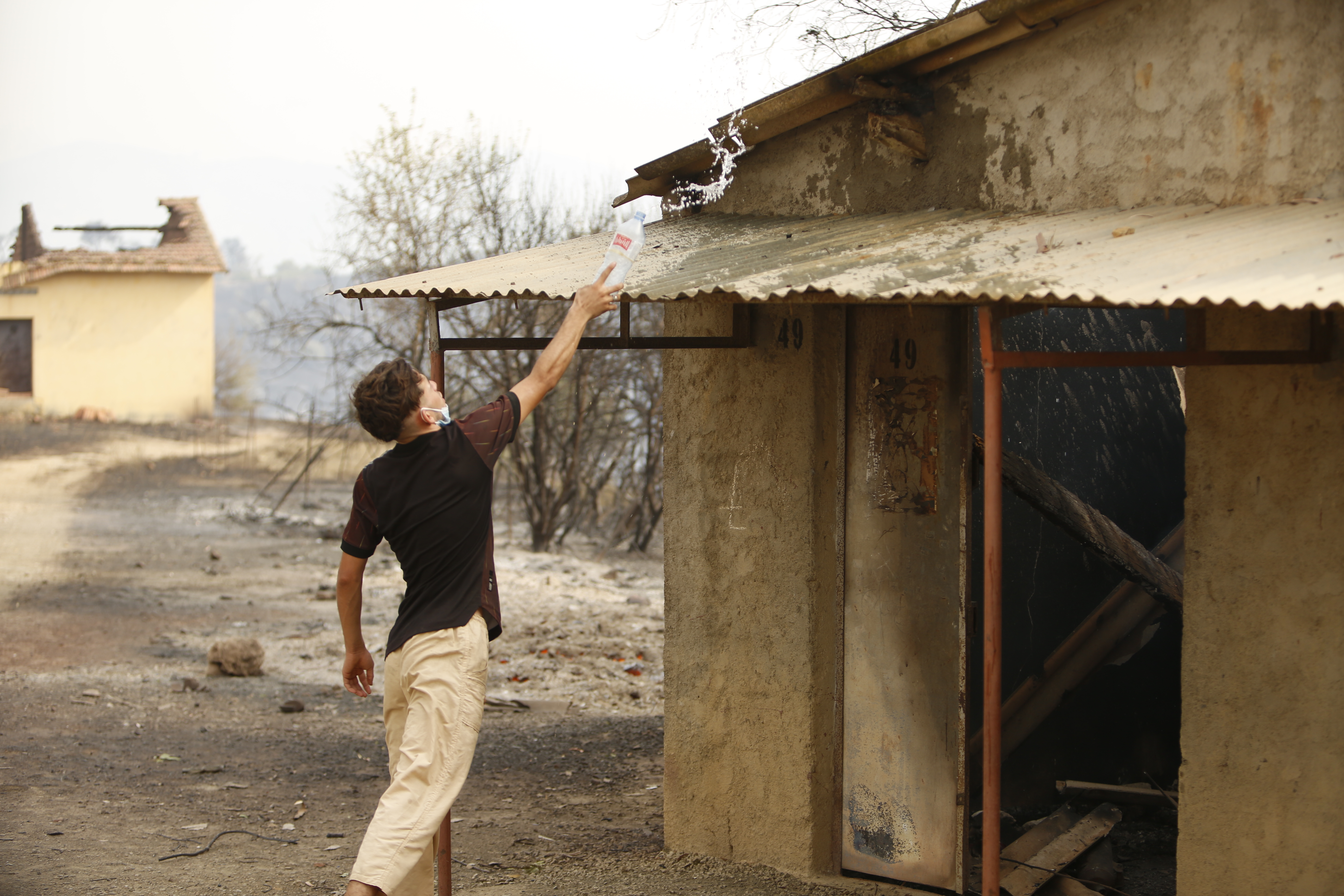 Forest fires kill 15 in Algeria