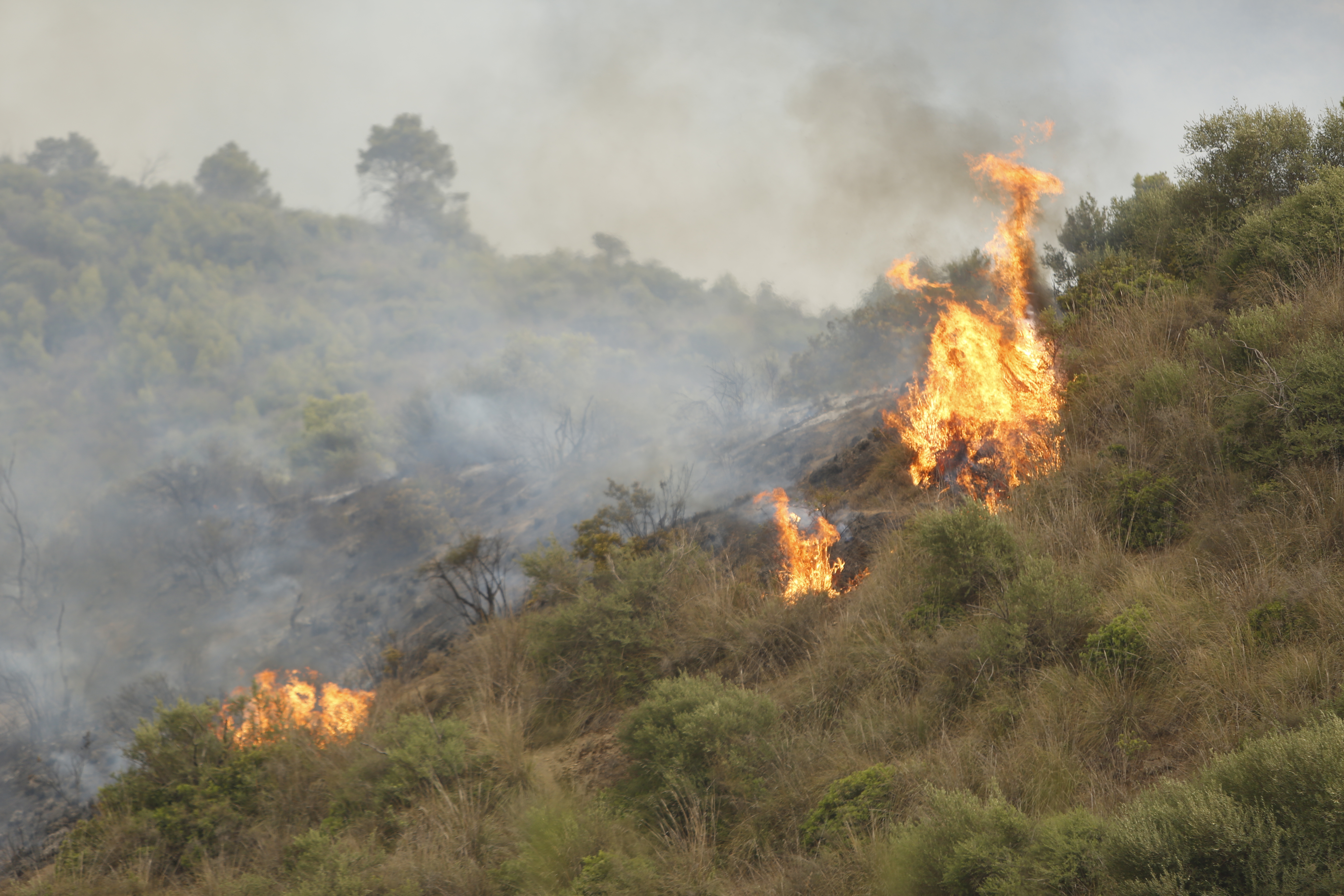 BOUIRA, ALGERIA - JULY 24: A view of the forest fires that swept through several states including Bouira