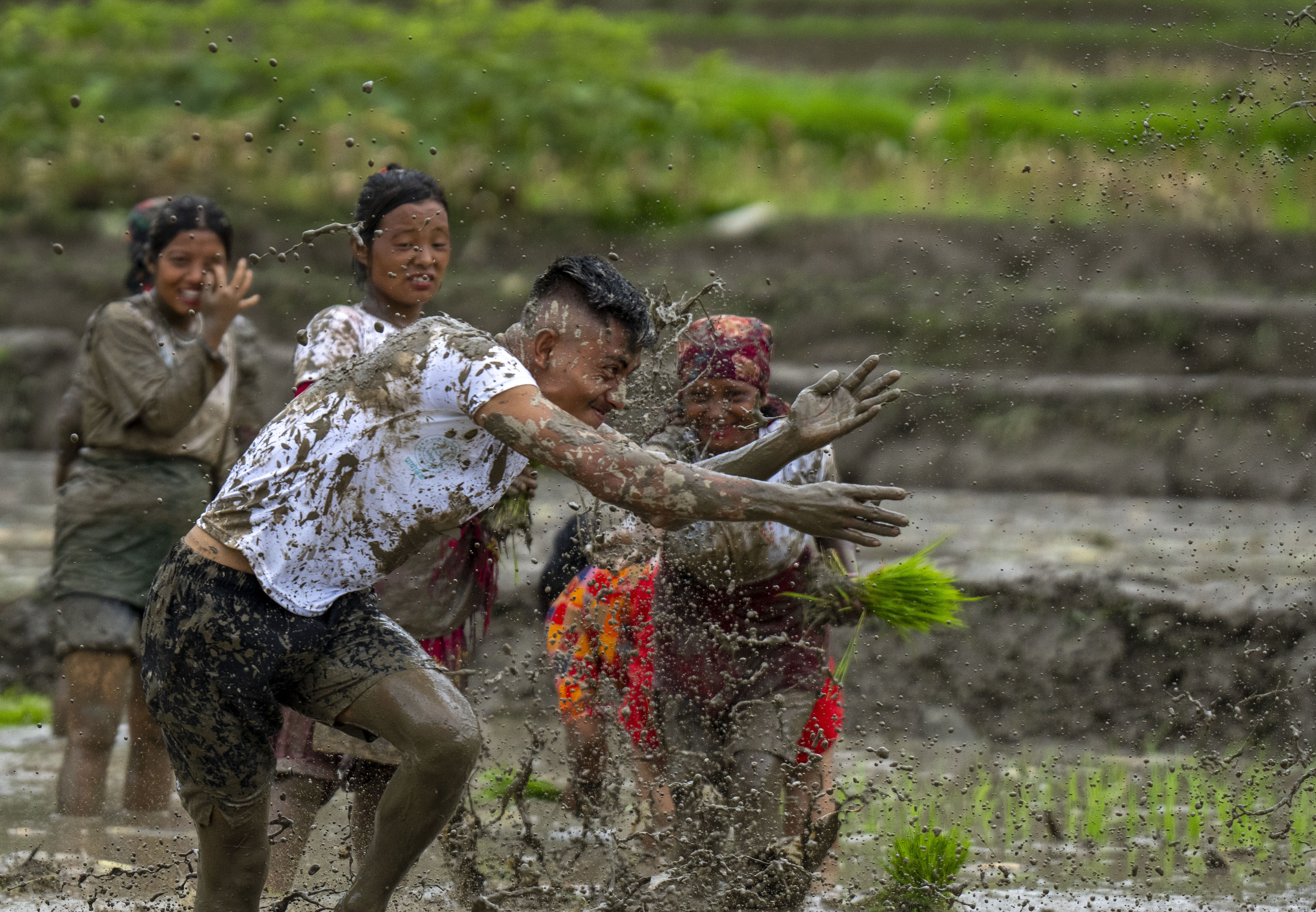 Farmers in Nepal celebrate rice planting day with special feasts and festivities