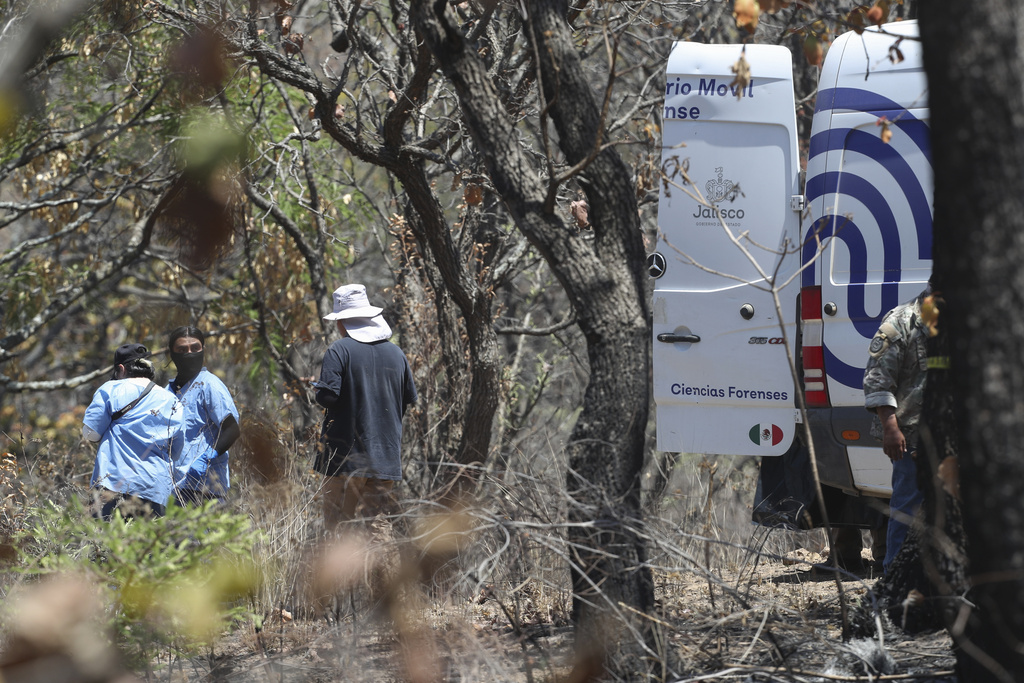 A forensics group searches for evidence of disappeared people