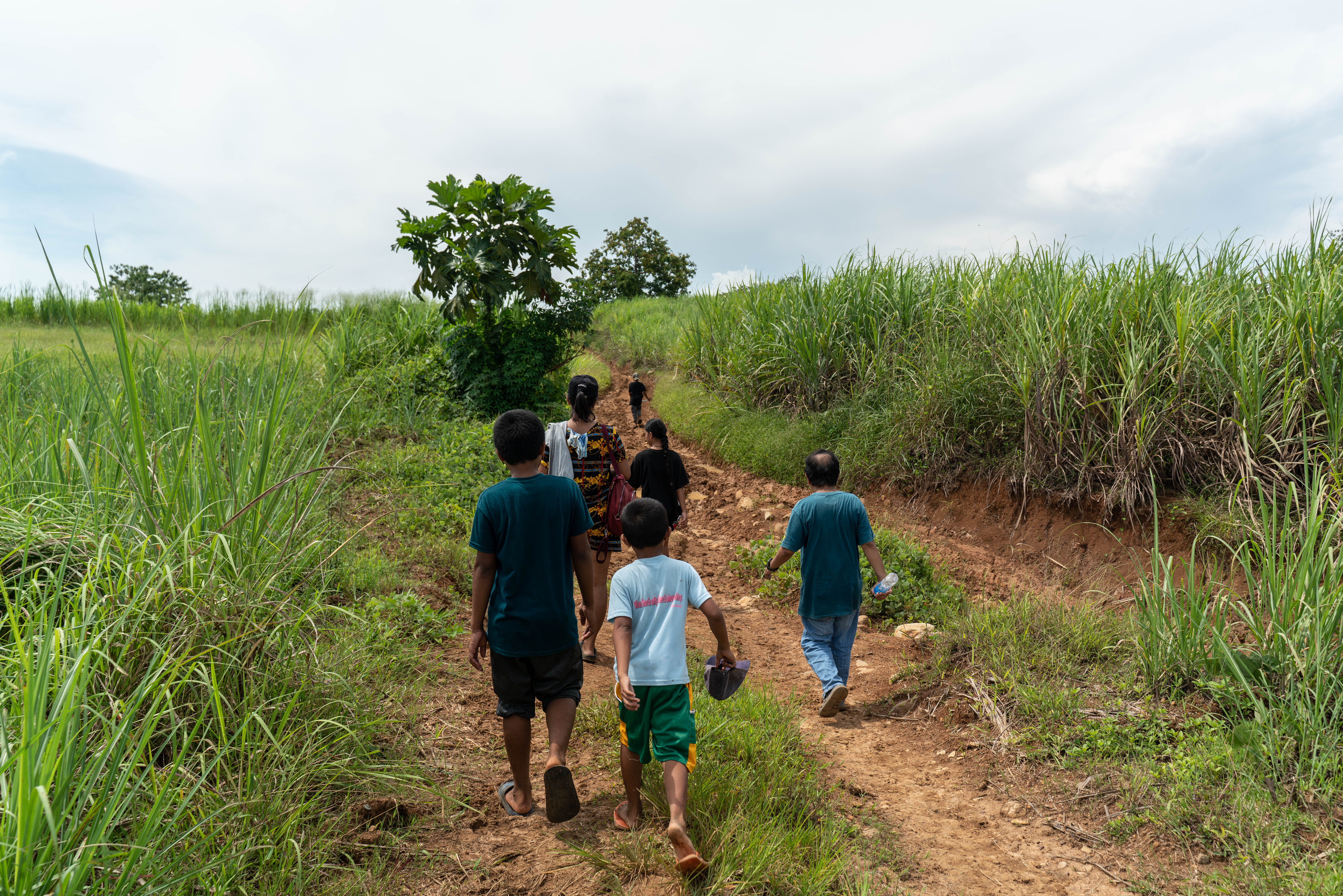 The Tingal family walking away from the village through lush green fields.
