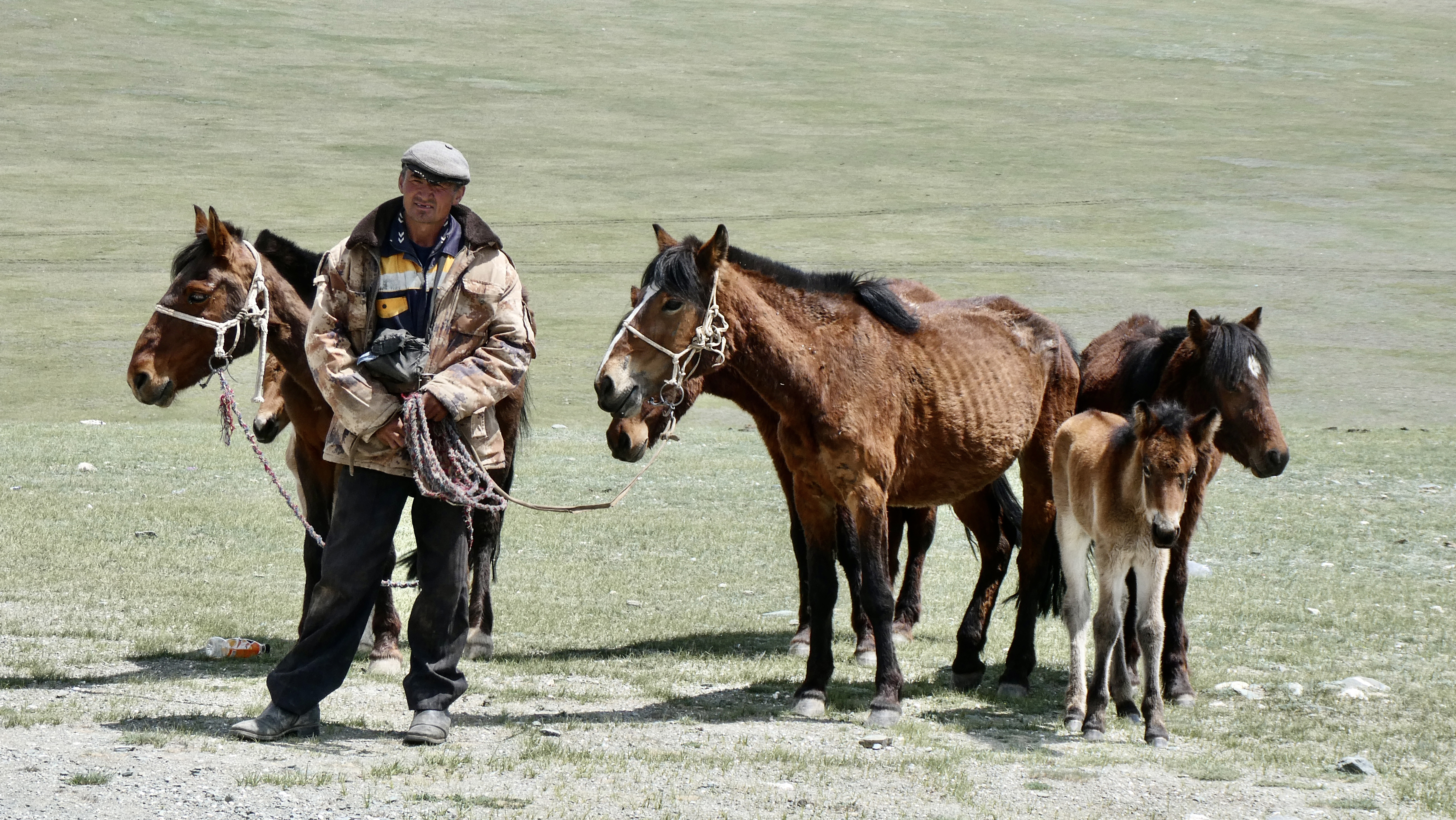 Mongolia’s brutal winters
