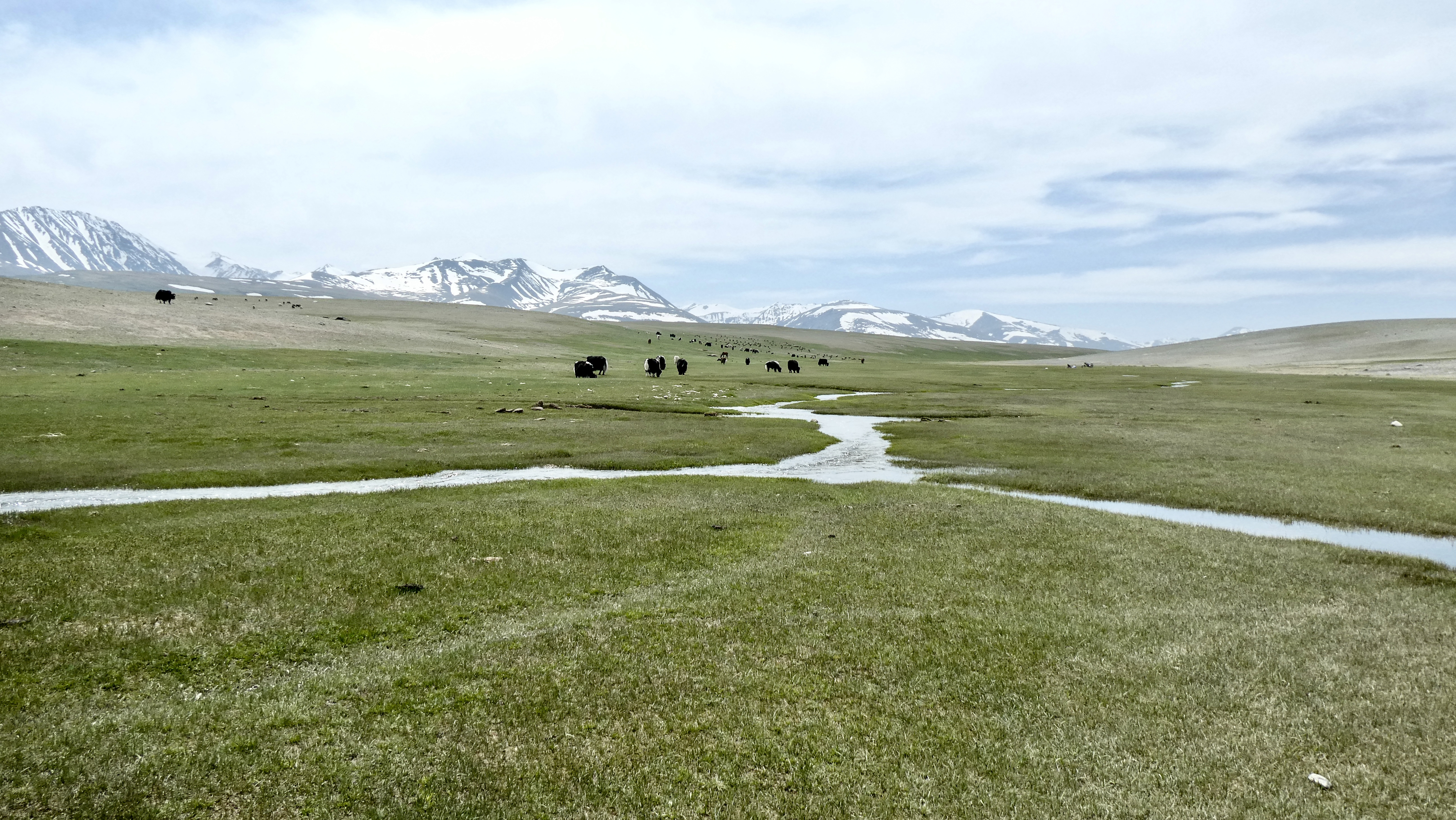 Mongolia’s brutal winters