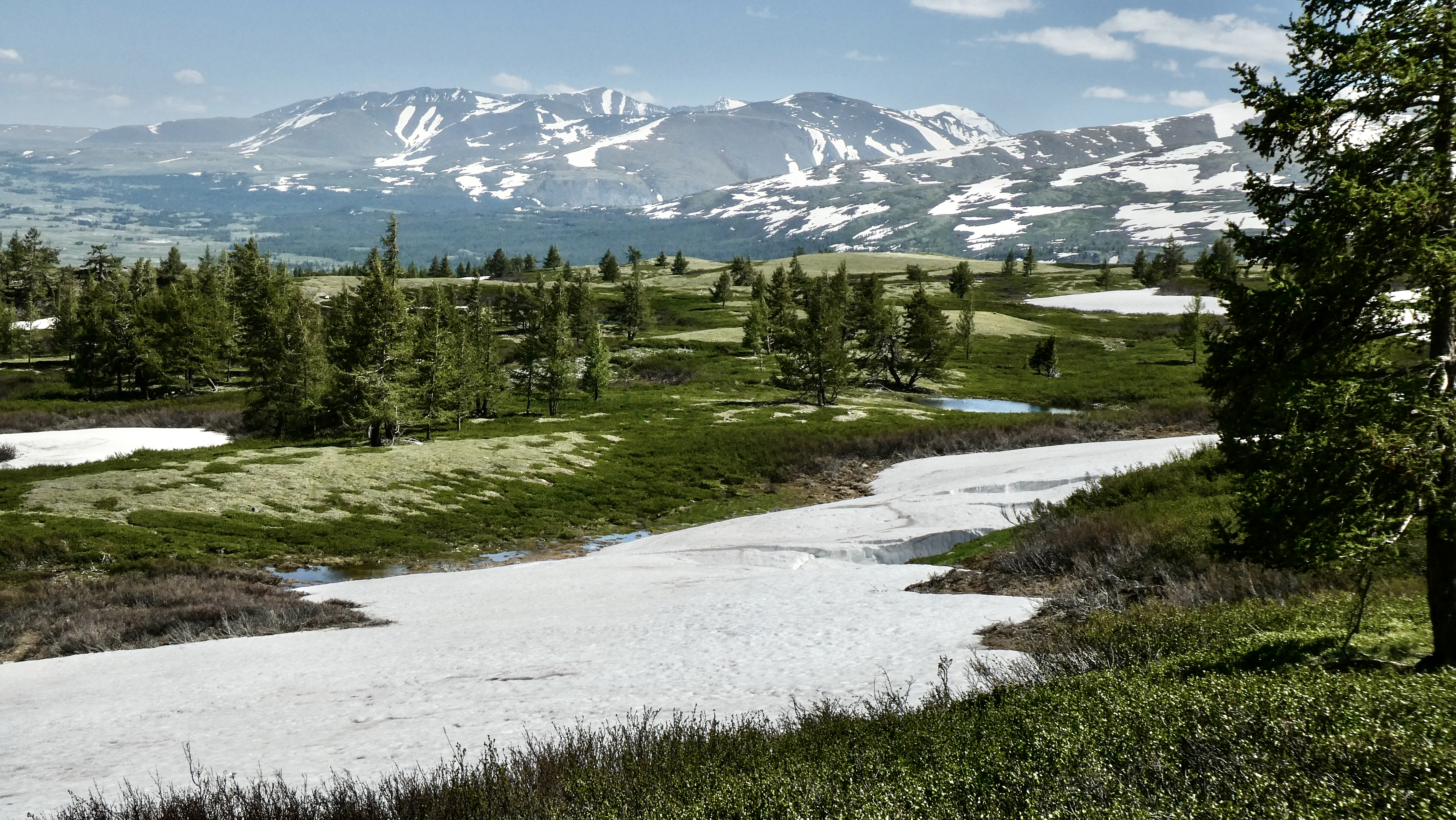 Mongolia’s brutal winters
