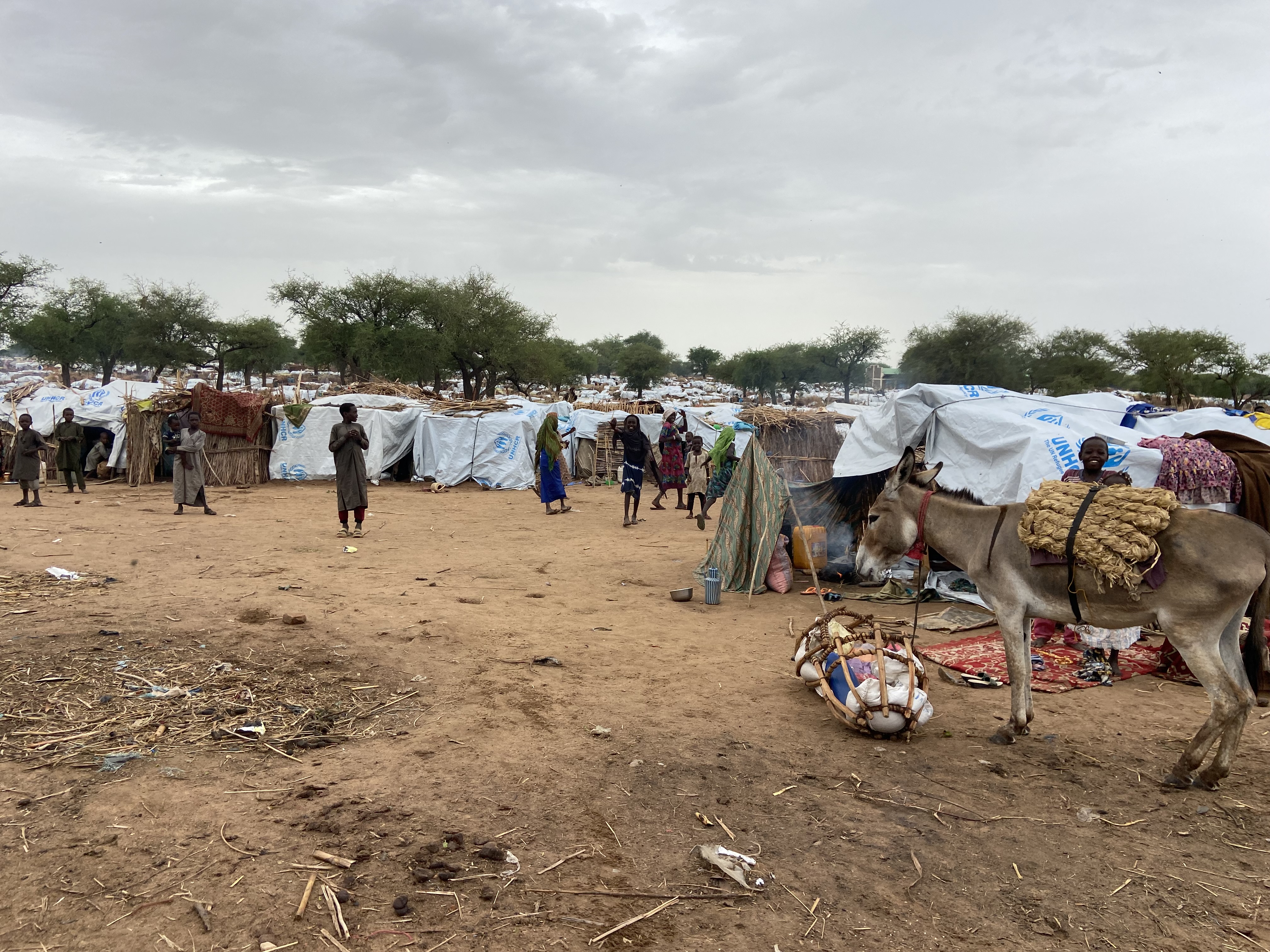 Chad refugee camp 2km from the Sudan-Chad border.