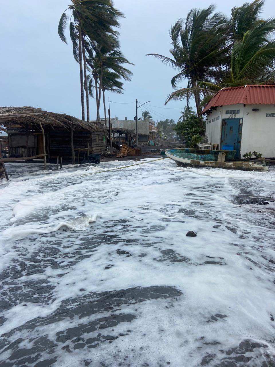 Palm trees sway as the wind blows and water rises, after Hurricane Hilary strengthened into a Category 2 storm, in Armeria, in Colima state, Mexico, in this undated handout photo obtained by Reuters on August 17, 2023.