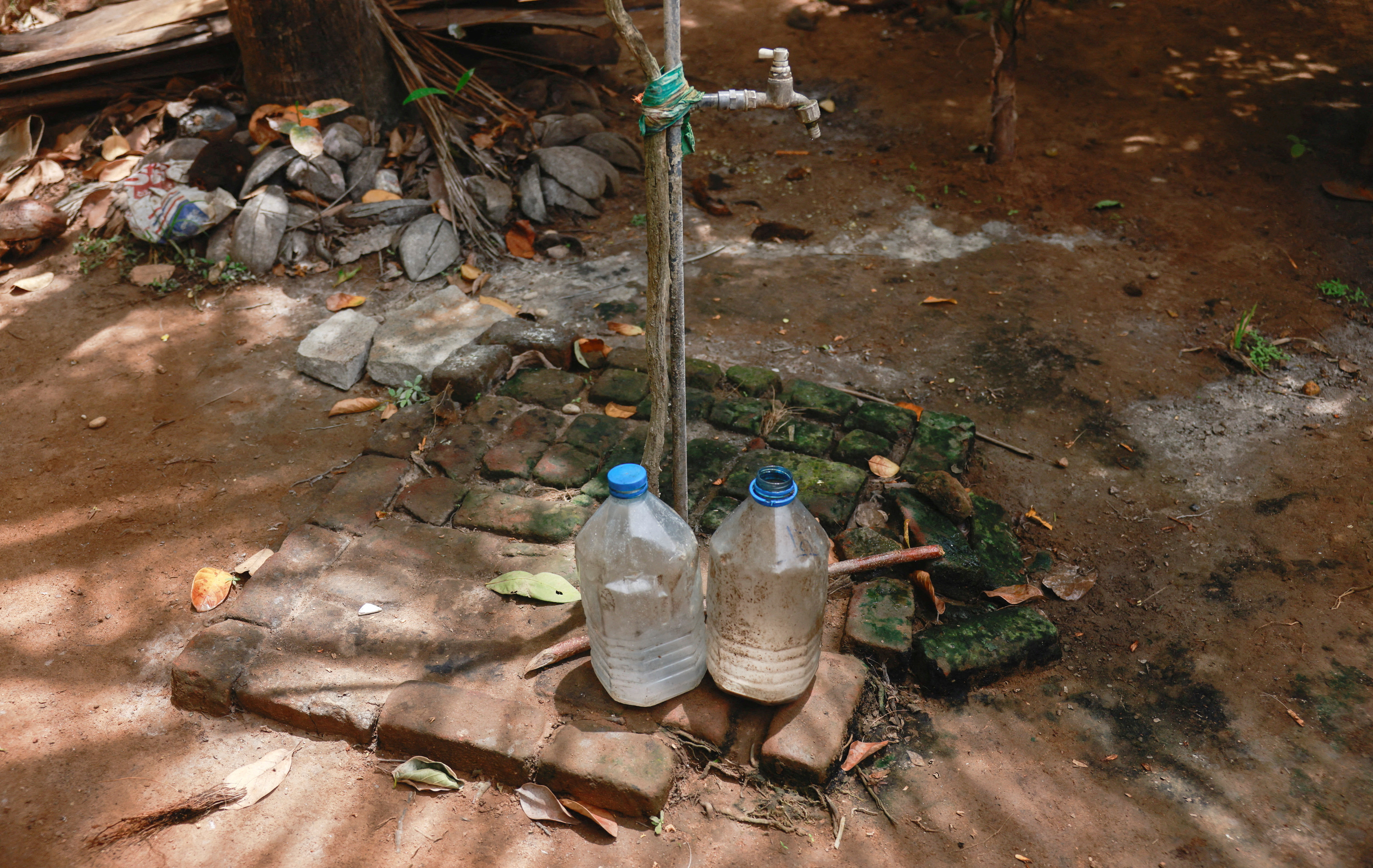 Drought dents Sri Lanka's economic hopes, farmers' livelihood