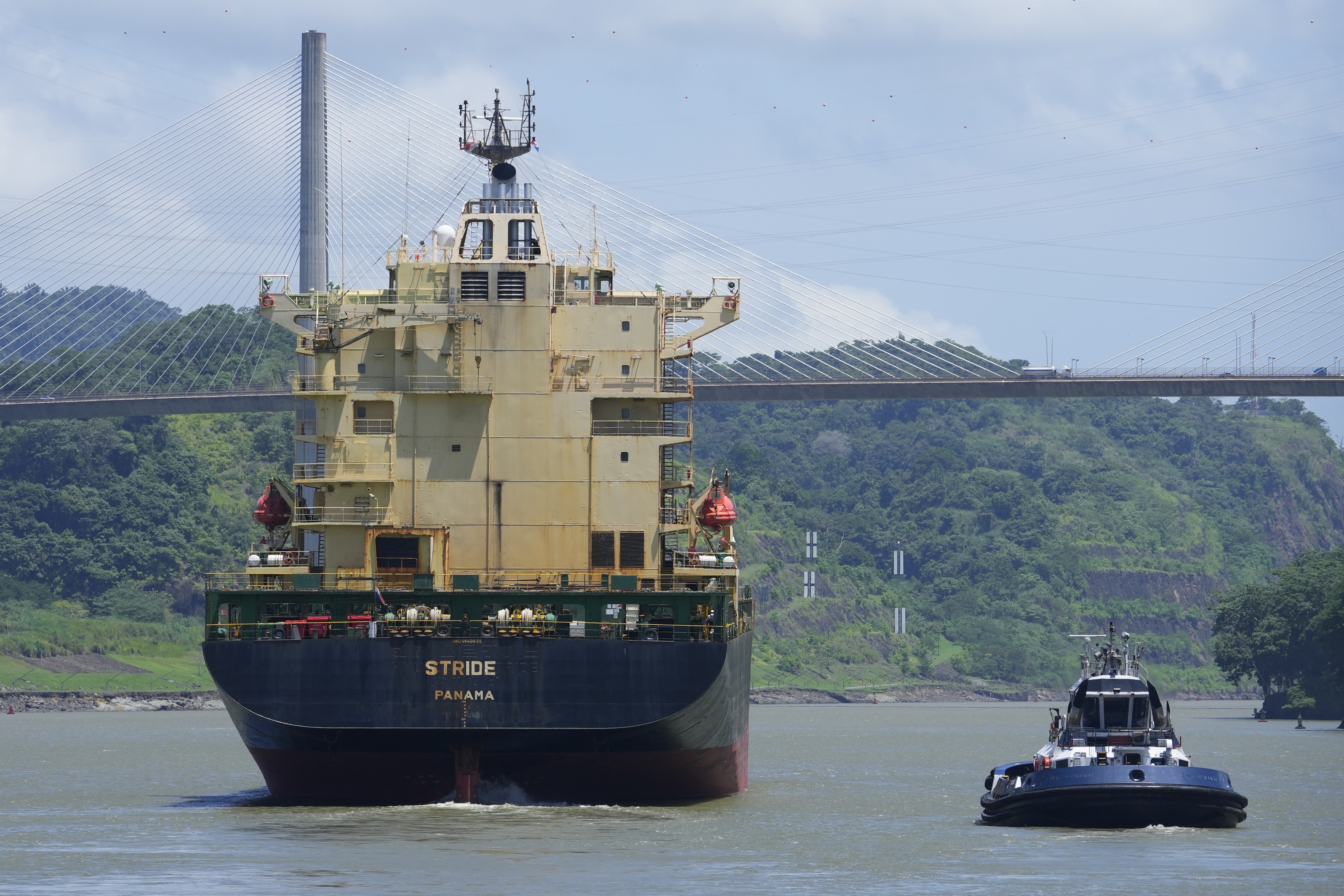 A cargo ship sails near the Pedro Miguel Locks on Panama Canal in Panama City, Thursday, Aug. 3, 2023. The Panama Canal Authority said it is limiting traffic to 32 daily ship transits through the canal after months of drought and expect less income in 2024 due to the ongoing water crisis. (AP Photo/Arnulfo Franco)