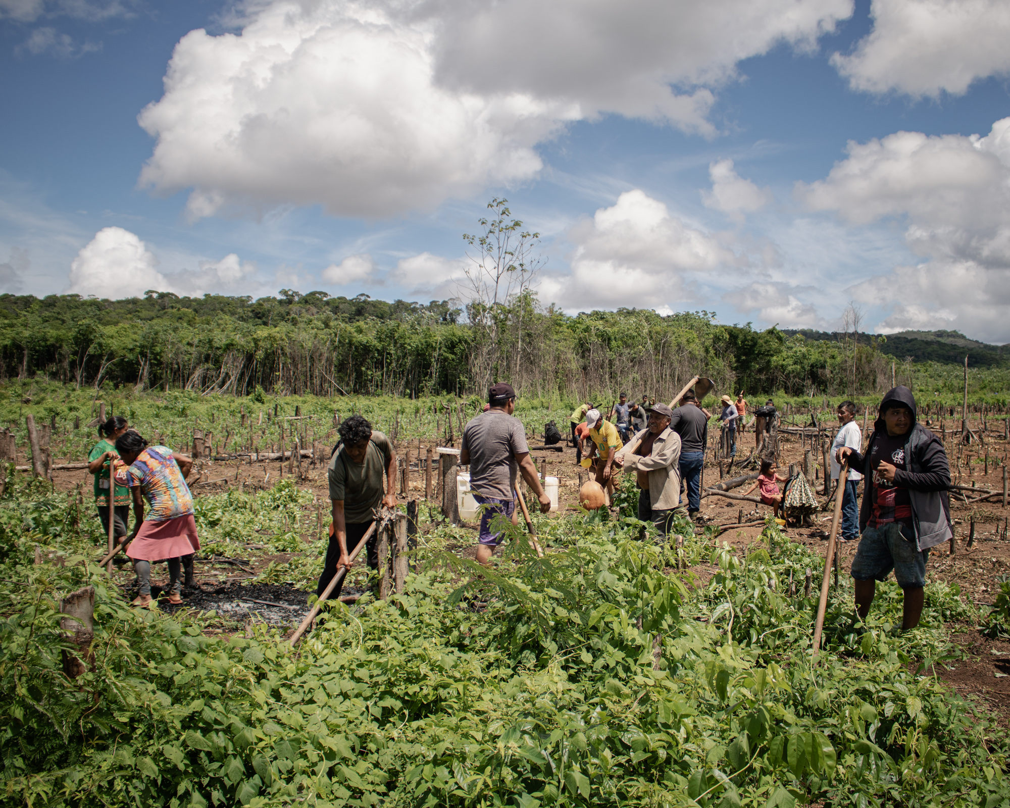 Residents of the Willimon community in Brazil gather to help clear out the land of Telma Macuxi