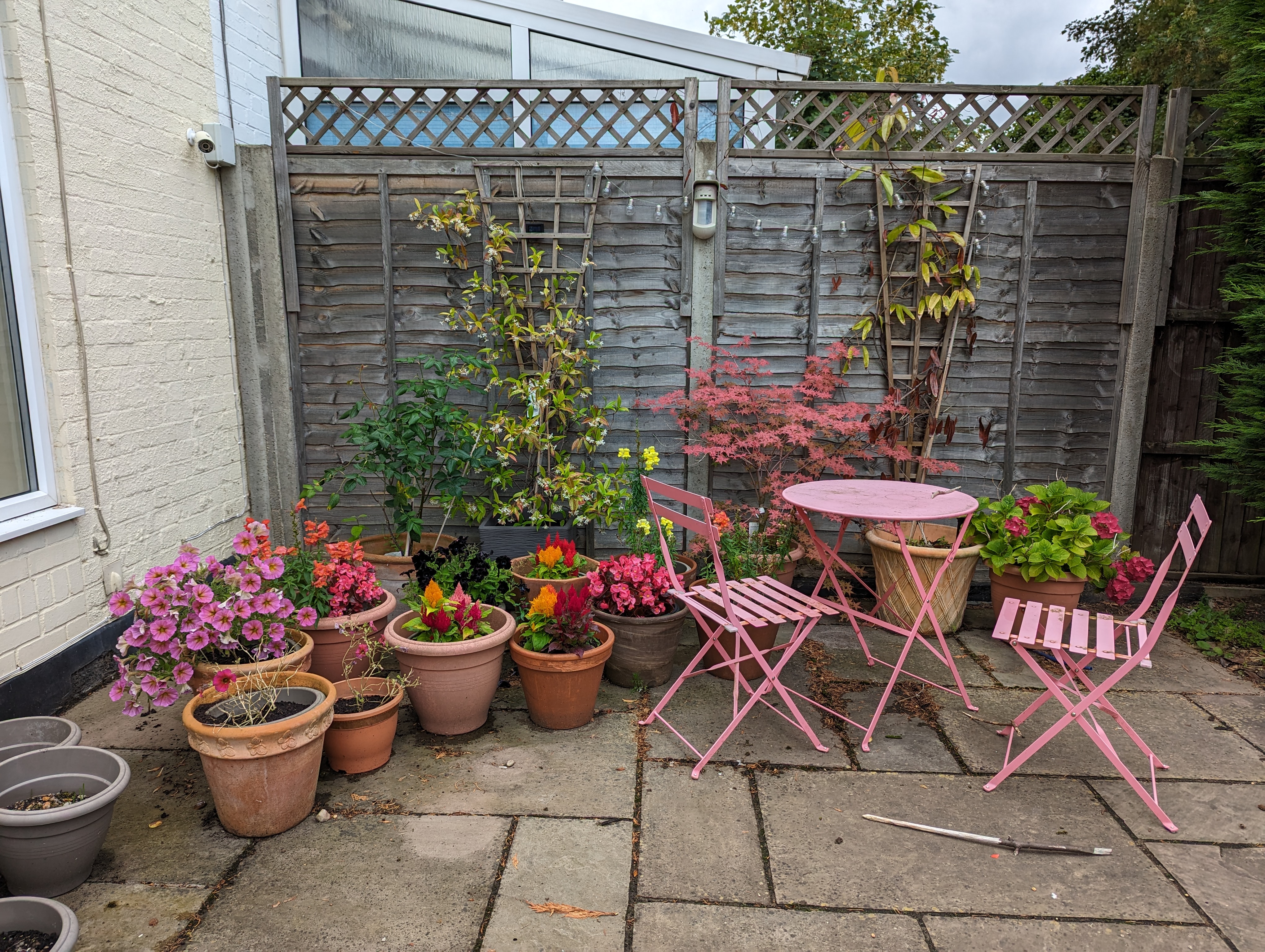 A photo of a back garden with pots of pink, orange, red and green plants.