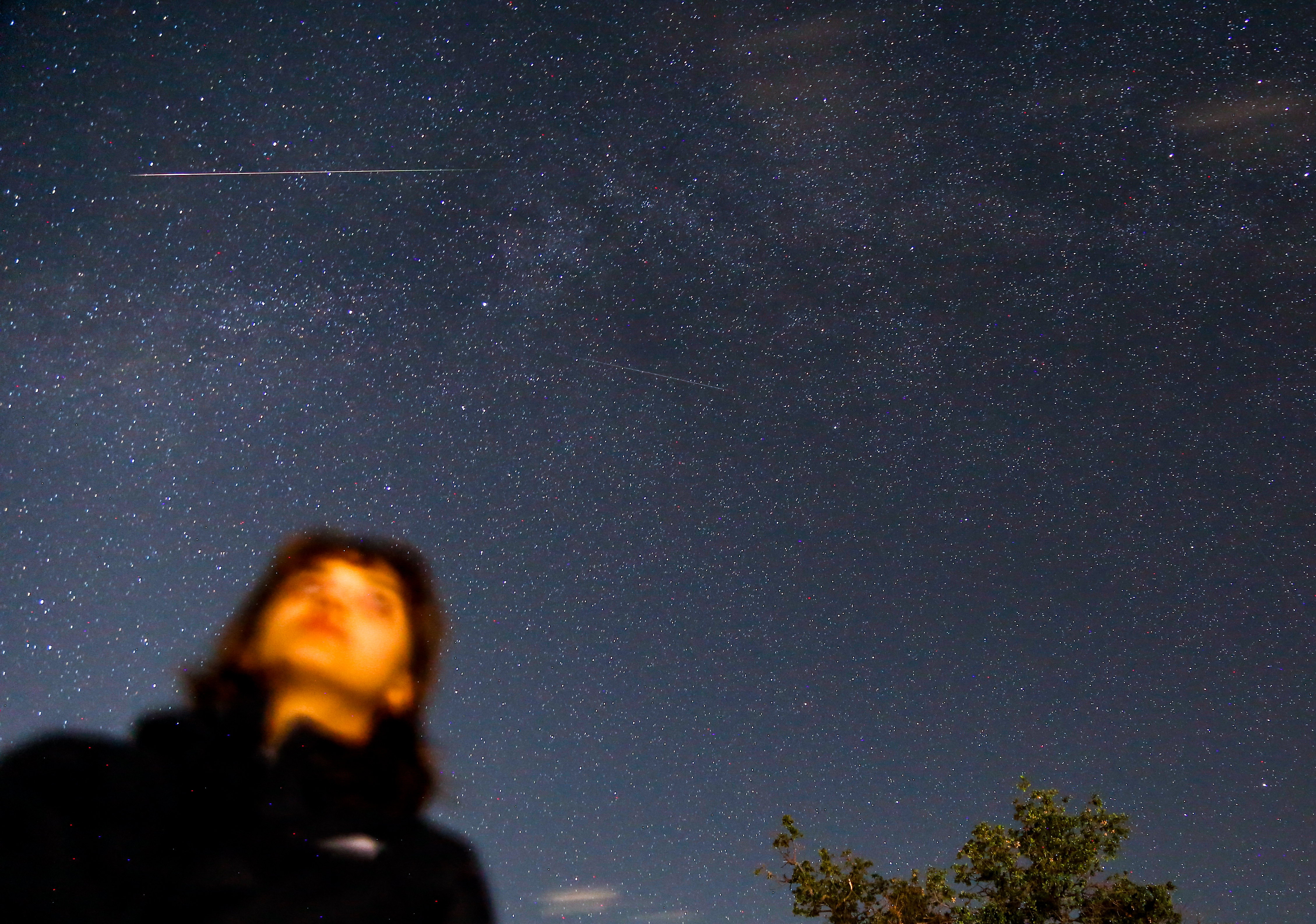 The Perseids