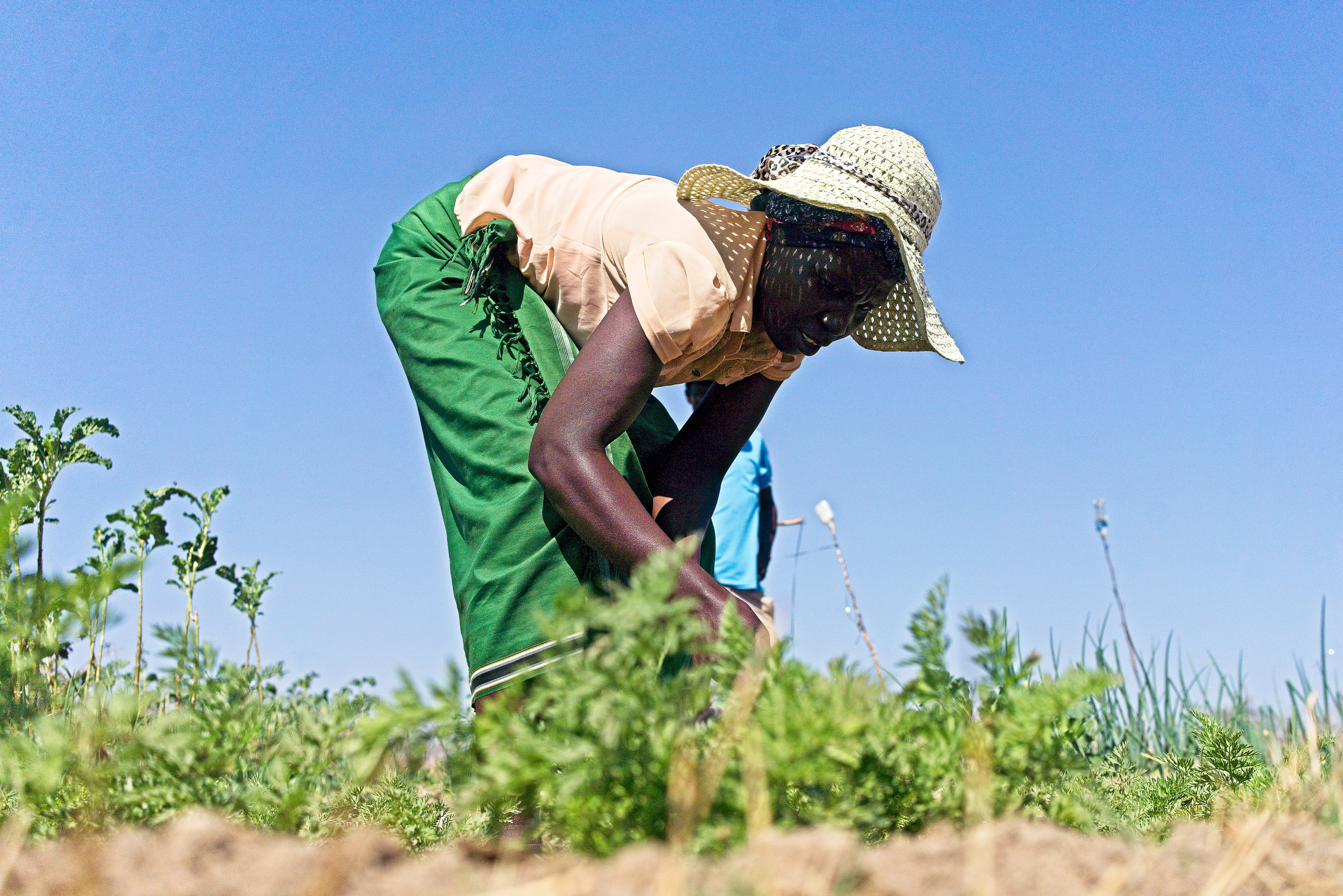 Patricia Mpofu tends to a carrot patch at the Thuthuka Garden, a community peace garden created to provide women with a livelihood and a safe space to talk about human rights