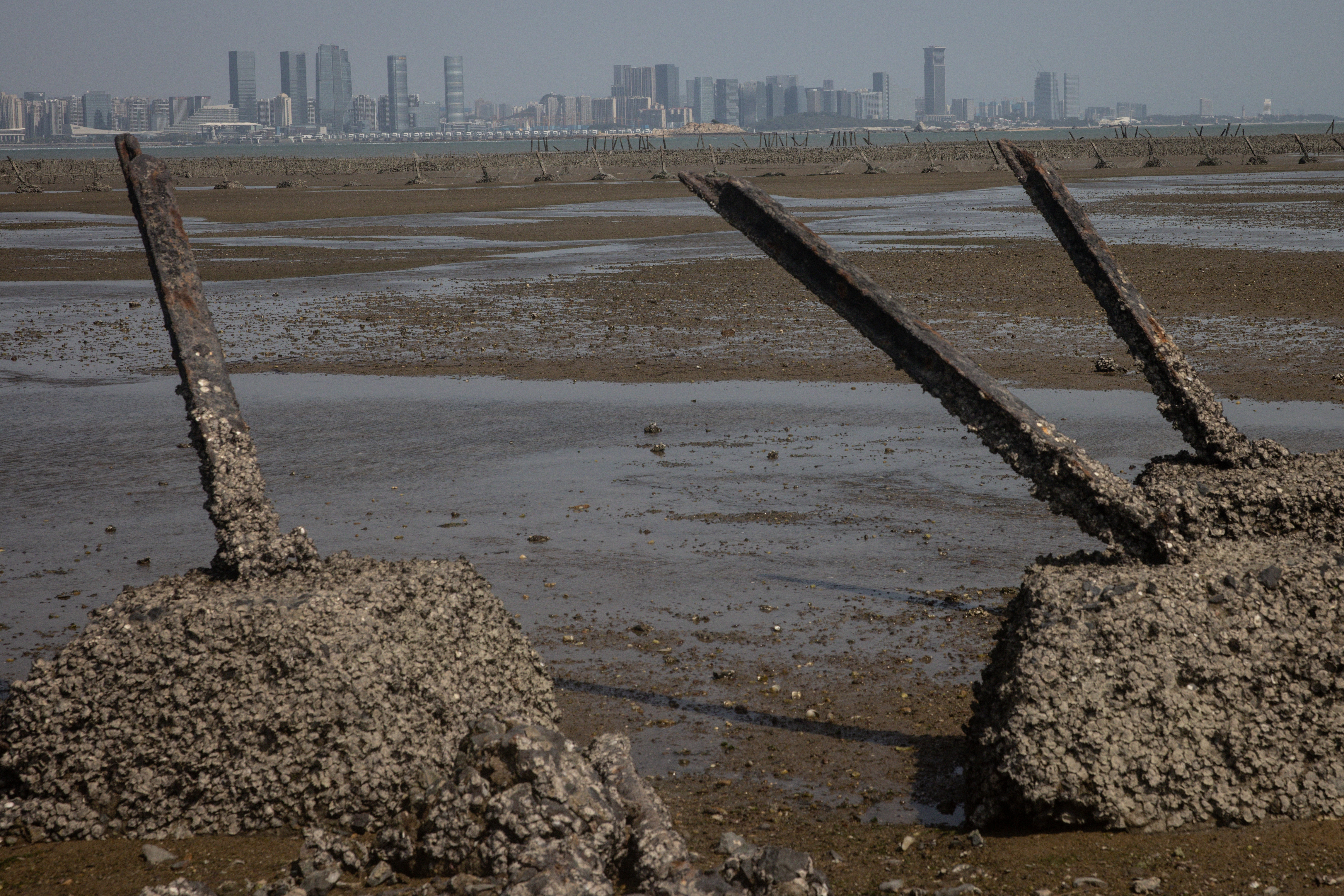 A photo of anti-tank fortifications from previous conflicts line the beach in front of the Chinese city of Xiamen.