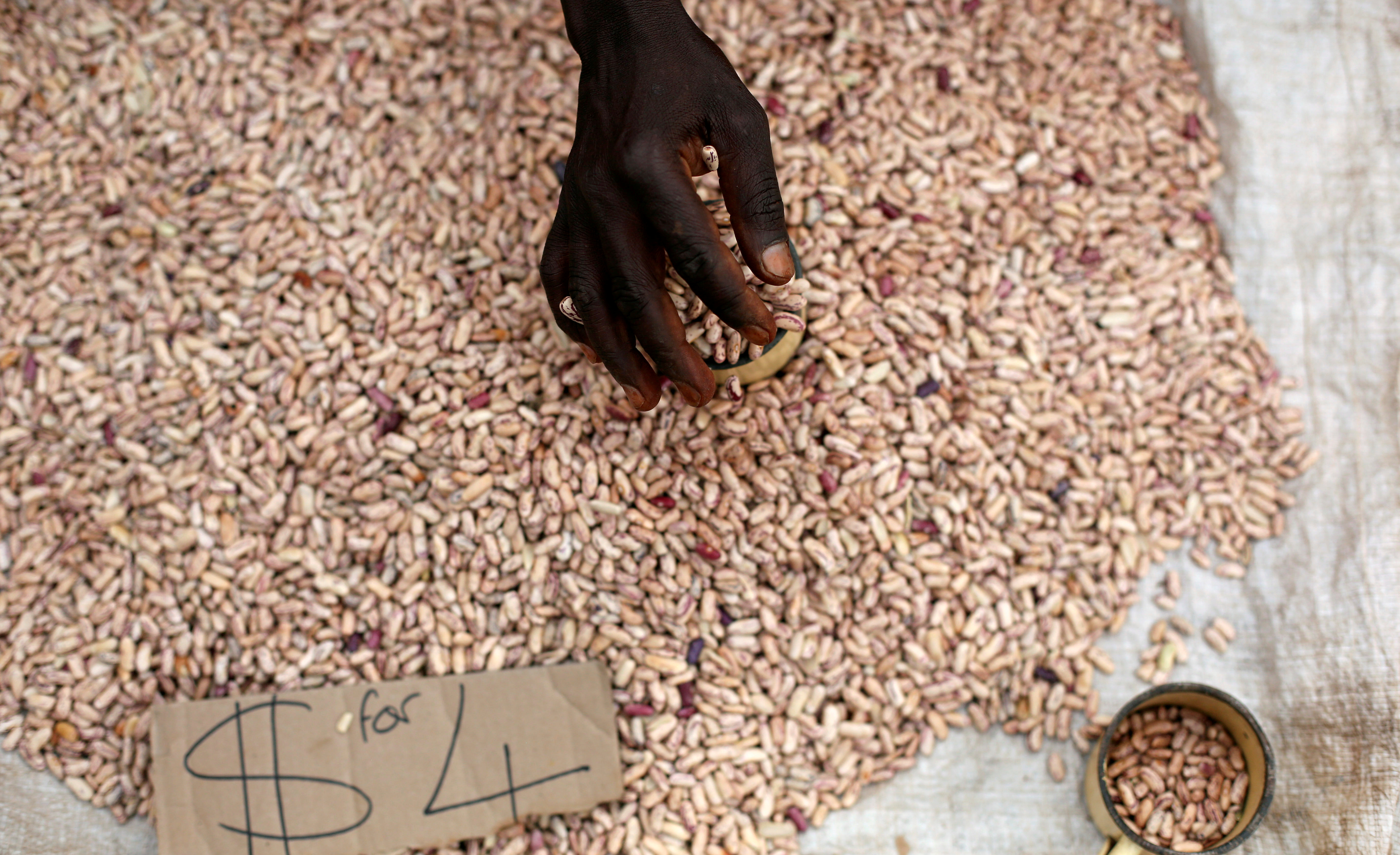 A street vendor sorts through beans.