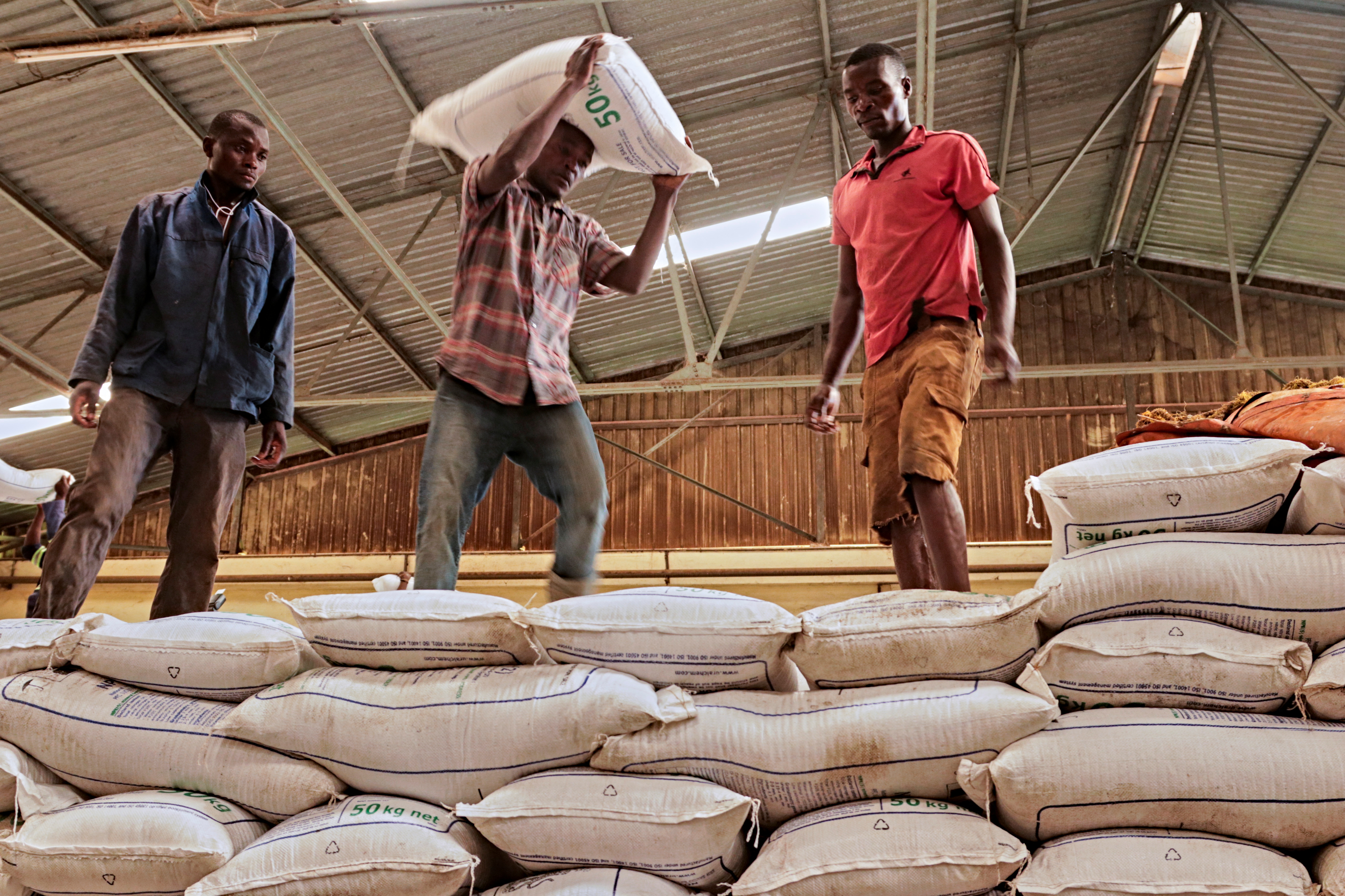 Workers move bags of fertilizer donated to Malawi by Russian company Uralchem in Mkwinda, Lilongwe, Malawi March 6, 2023 REUTERS/Eldson Chagara