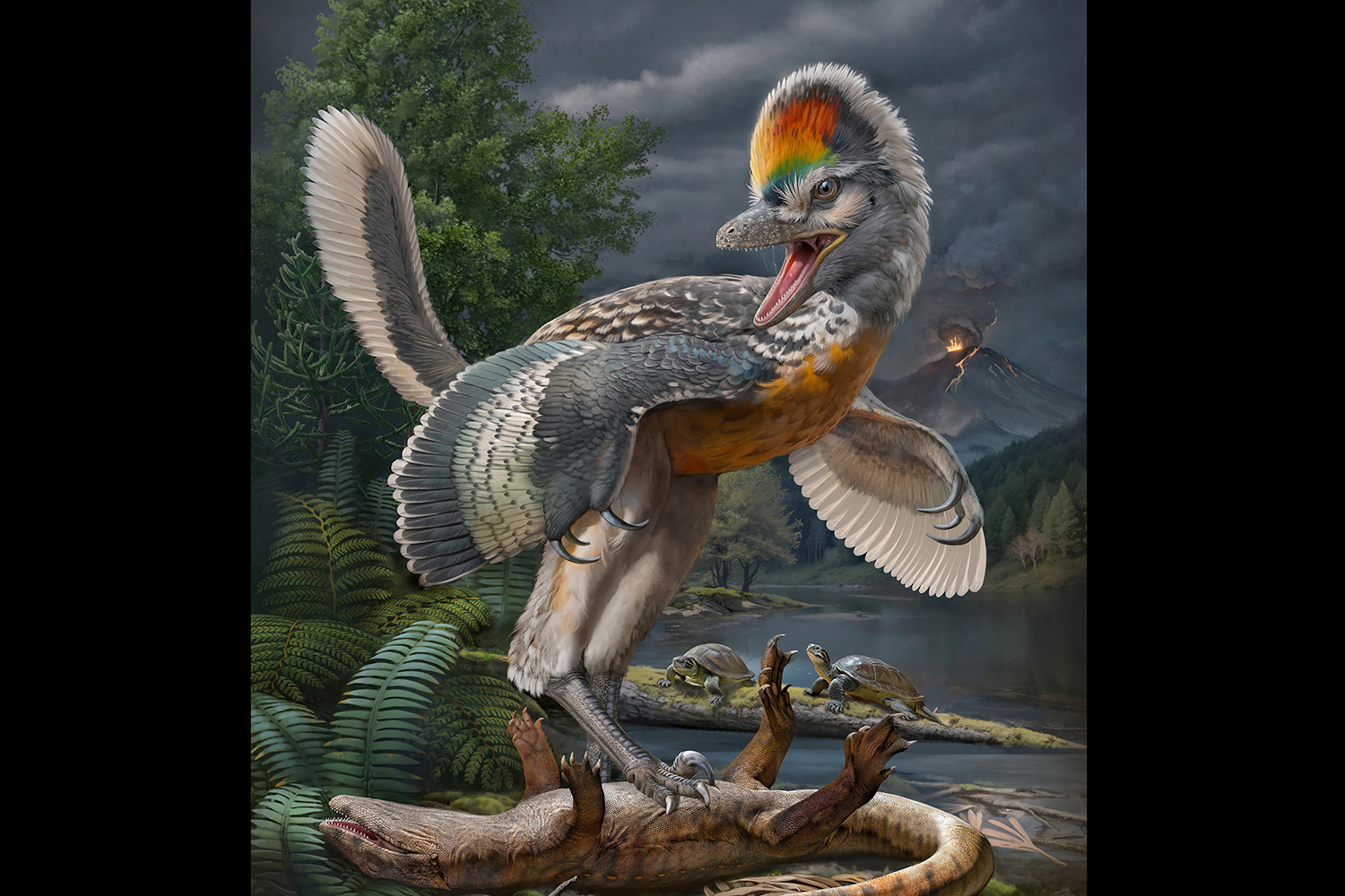 A life reconstruction of the bird-like dinosaur Fujianvenator prodigiosus, which lived 148 million to 150 million years ago in China, is seen in this illustration. Chuang Zhao/Handout via REUTERS THIS IMAGE HAS BEEN SUPPLIED BY A THIRD PARTY. NO RESALES. NO ARCHIVES