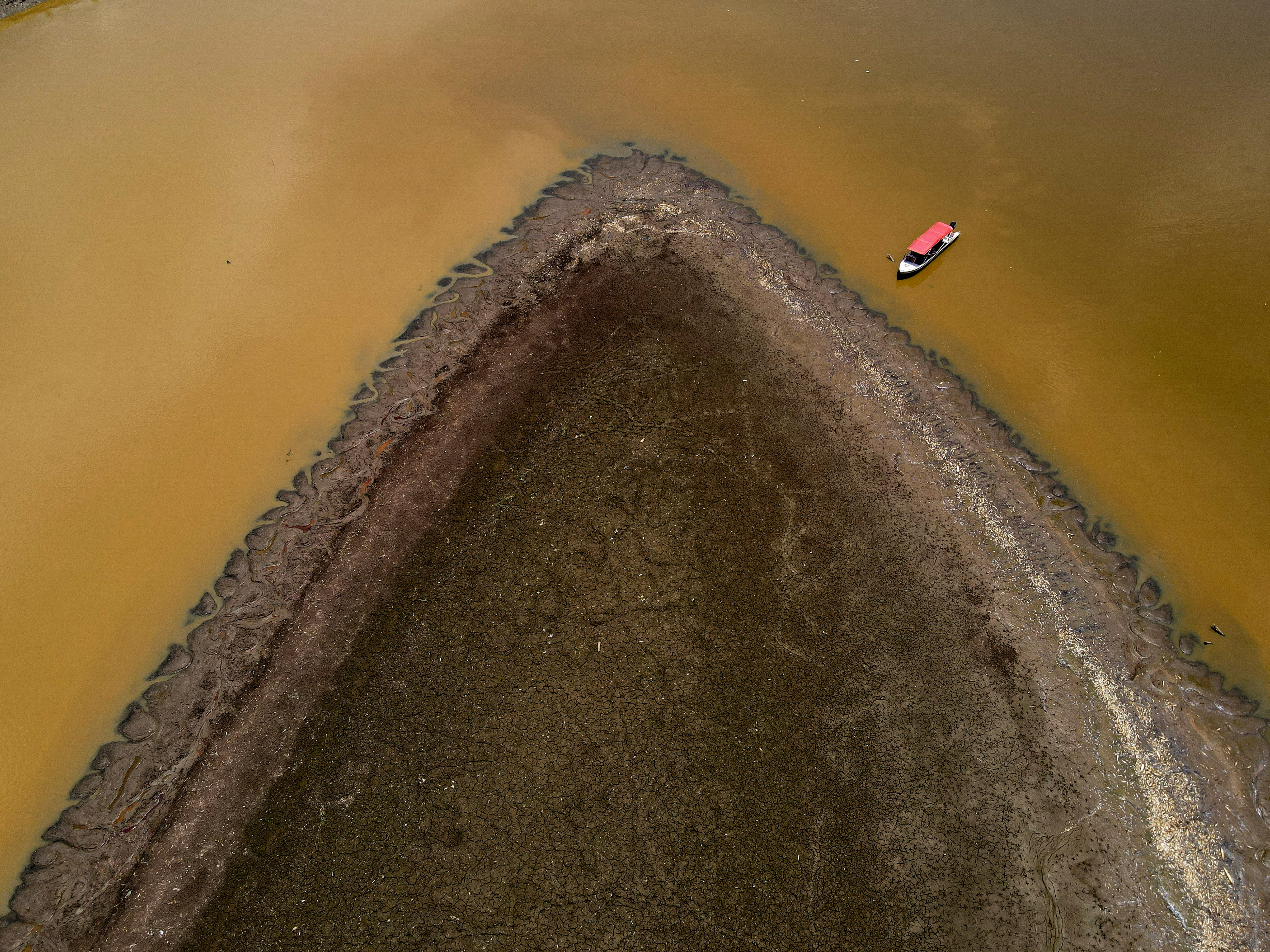 Dead fish are seen at Piranha lake, in Manacapuru, state of Amazonas, Brazil