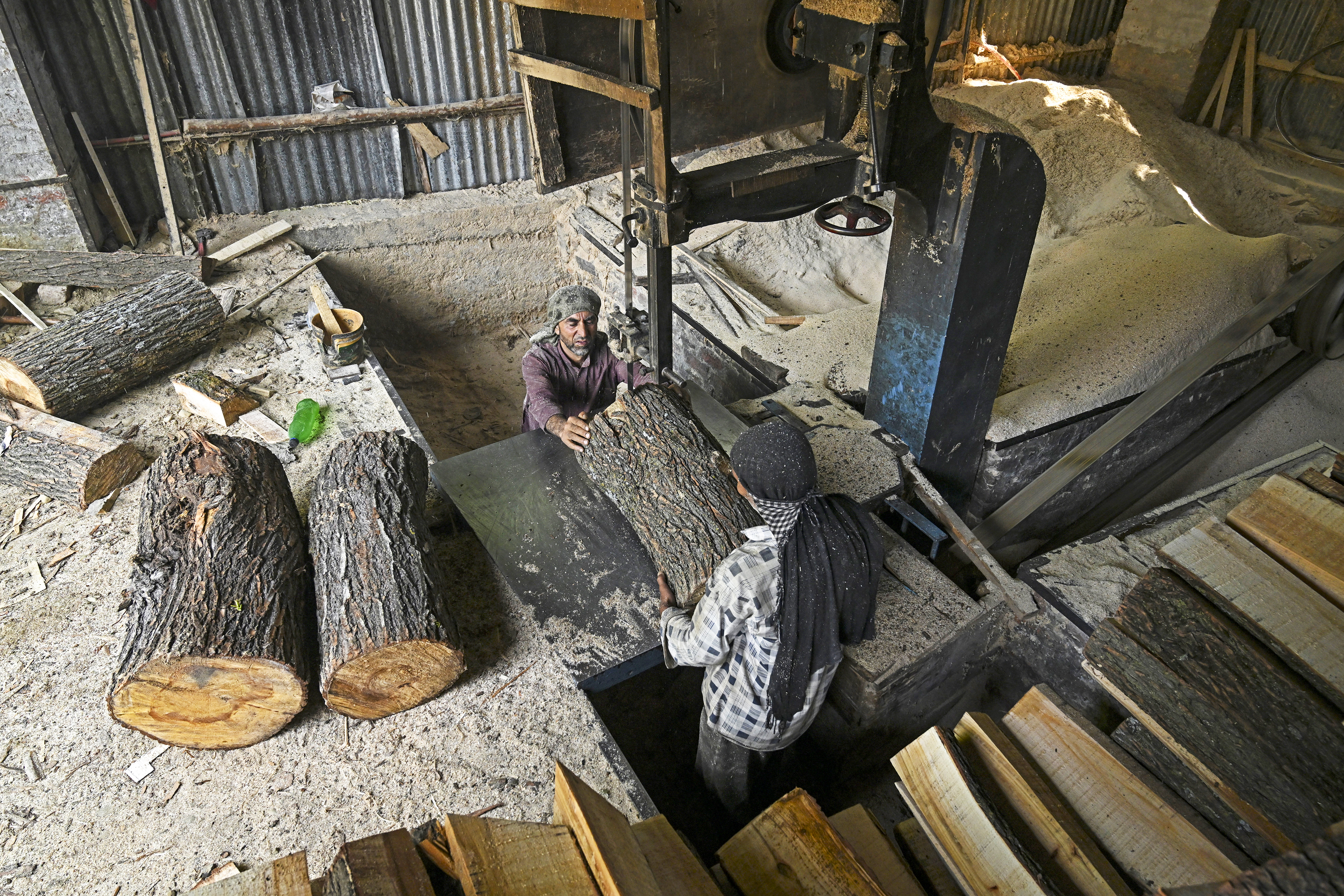 Rampant logging hits Kashmir's cricket batmakers