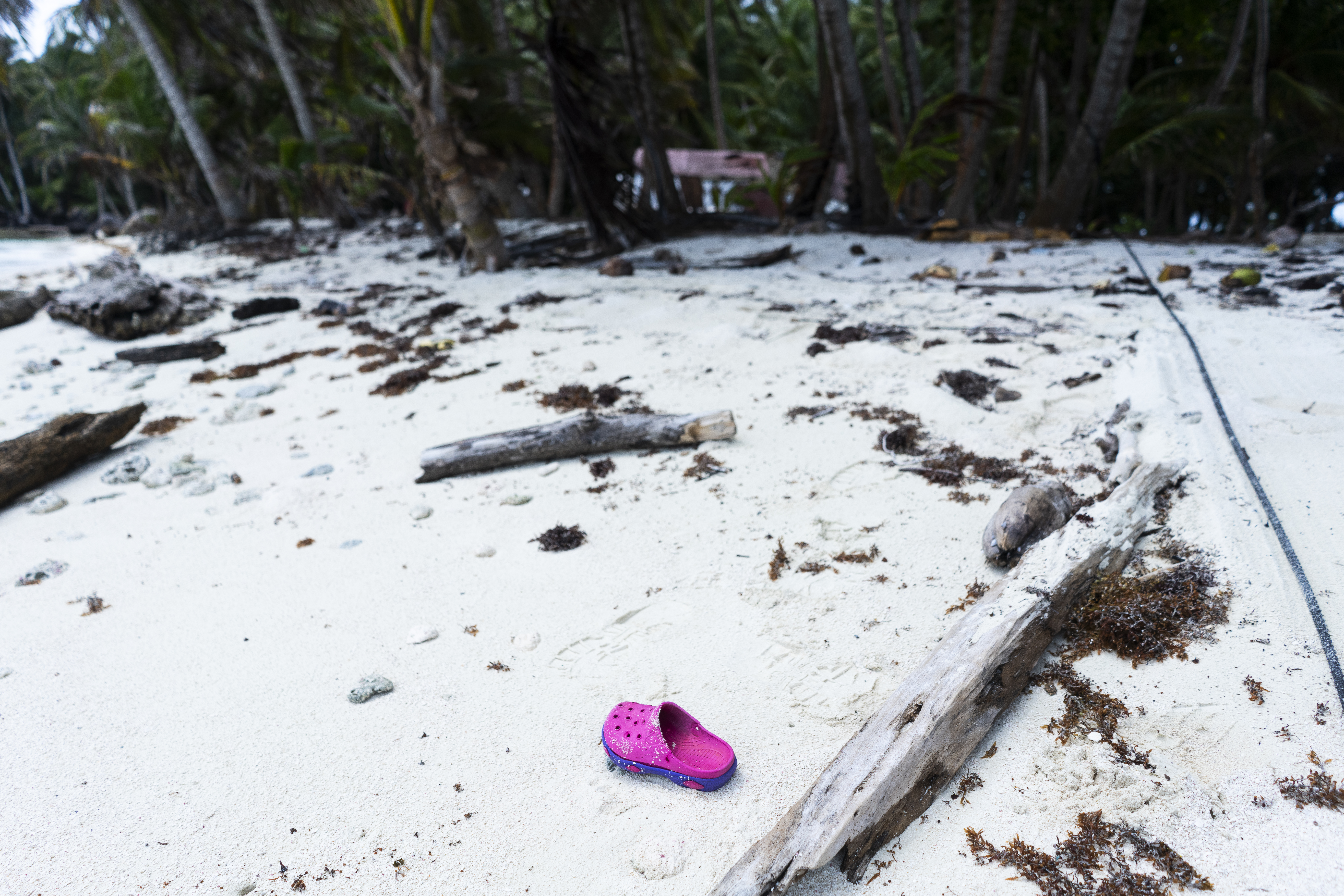 A pink shoe sits on the white sand, amid the driftwood of the beach.