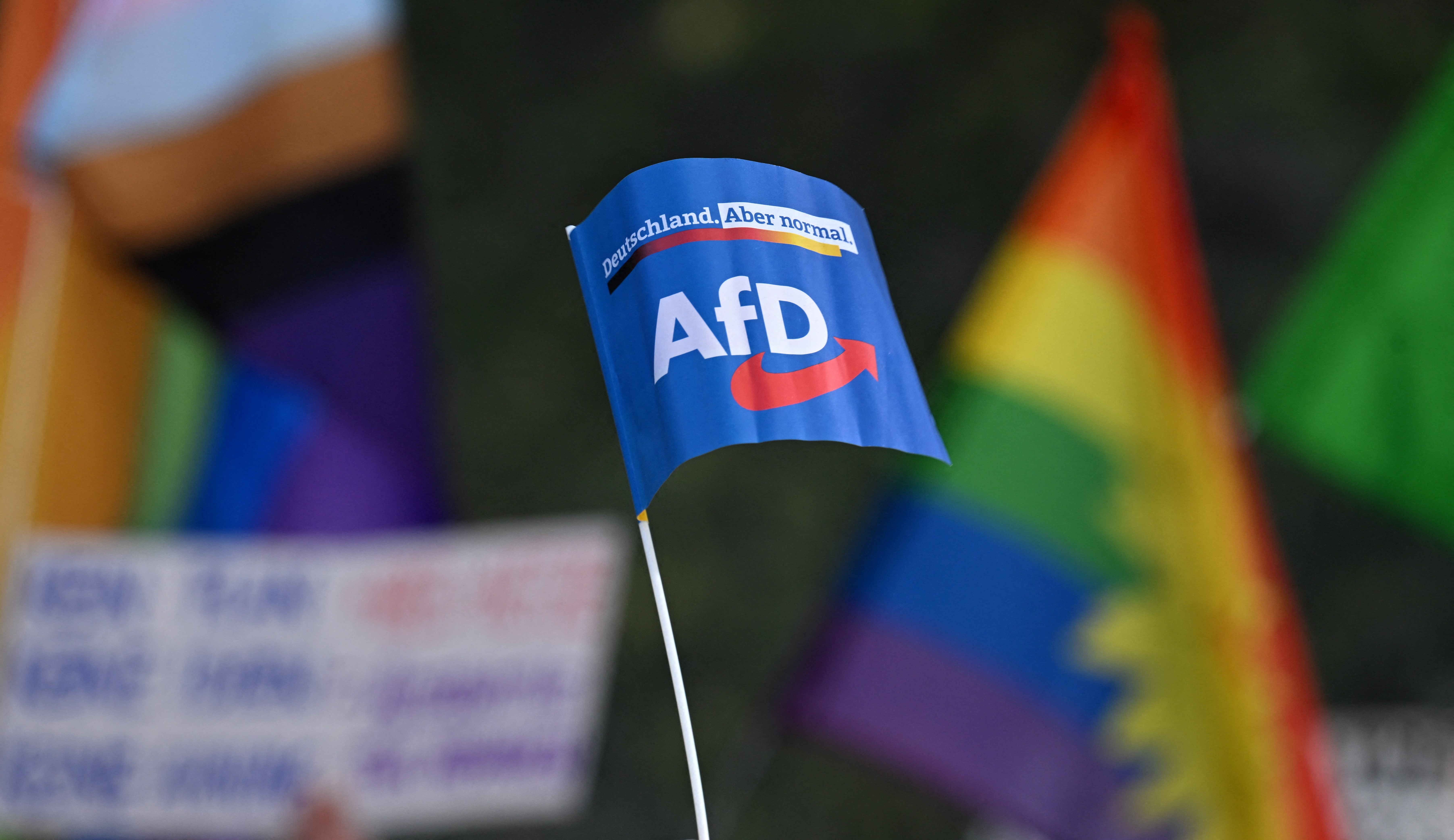 A supporter waves a flag with the AfD party logo