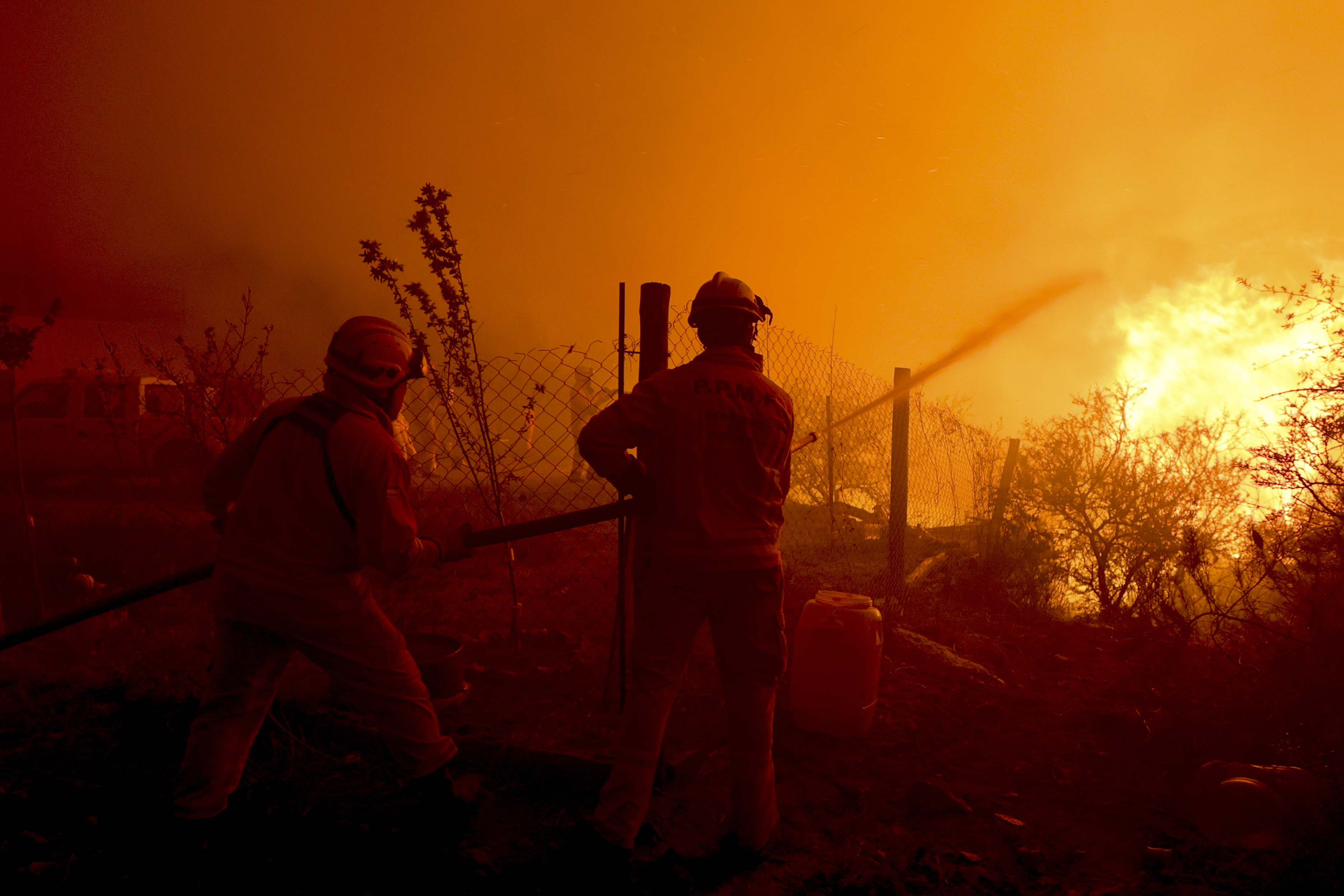 Firefighters work to put out a forest fire