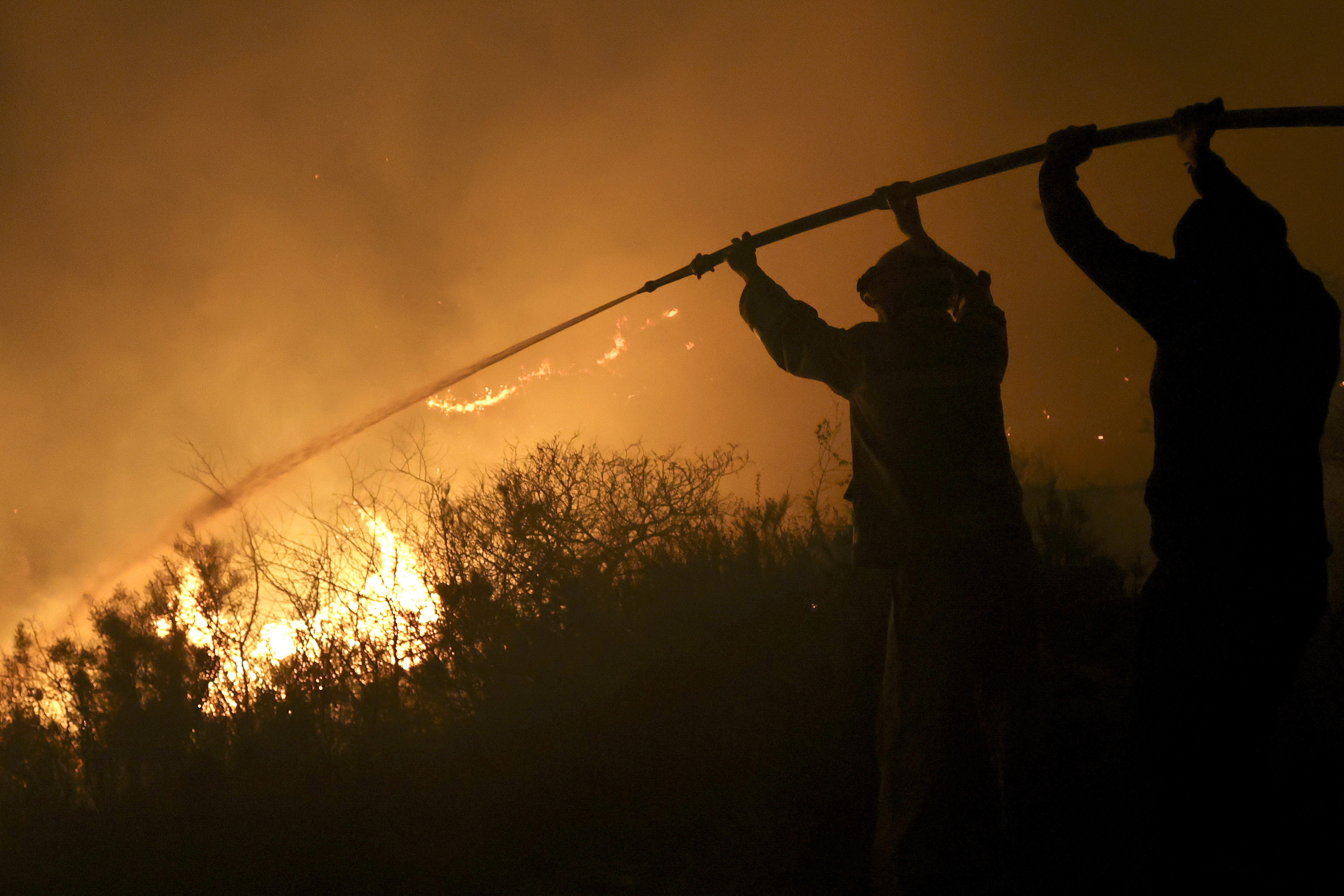 Firefighters work to put out a forest fire