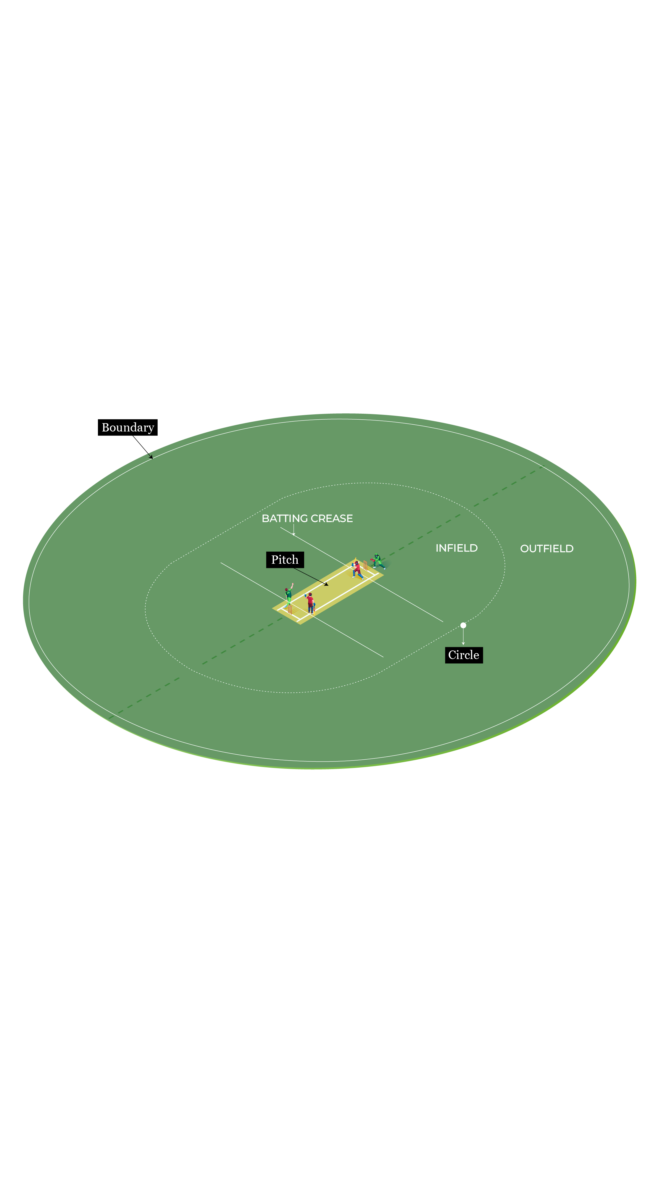 Interactive_Illustrated guide to cricket_ground_vertical