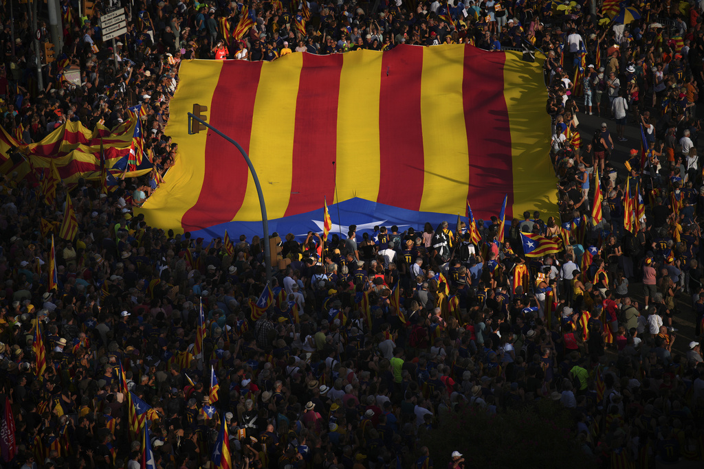 An independence flag is held at a demonstration in Catalonia