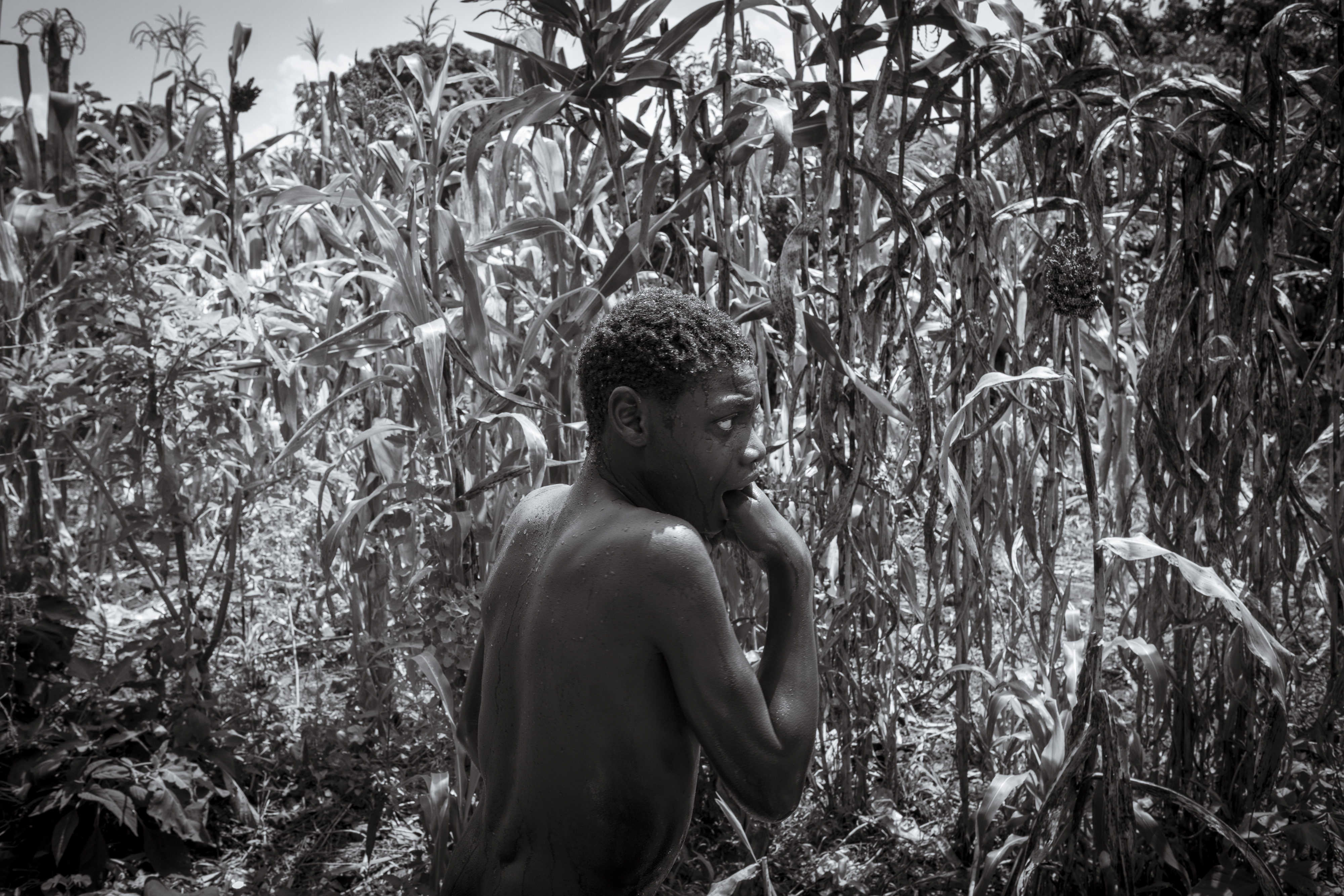 Perez Mwase cowers in the family maize field