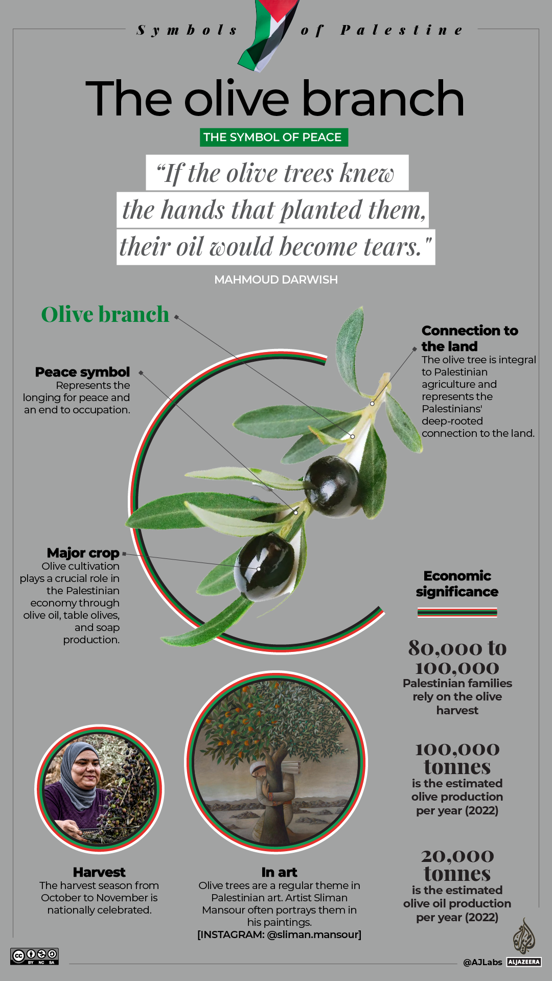 INTERACTIVE-Palesinian-symbols-2_OliveBranch_GRAPH-1700468804