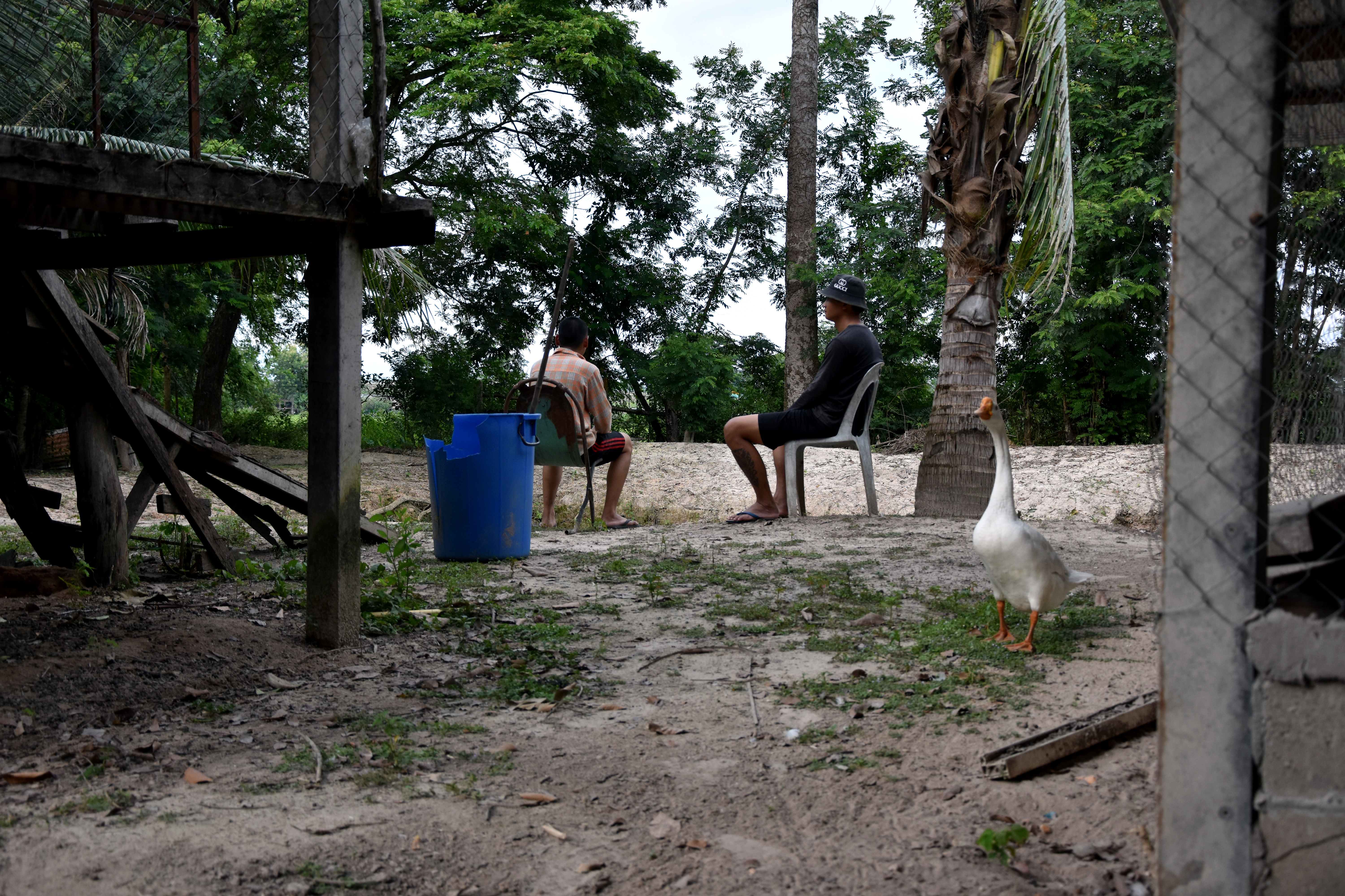 The drug rehab cnetre residents. They are seated on plastic chairs outside. There are some trees and bushes 