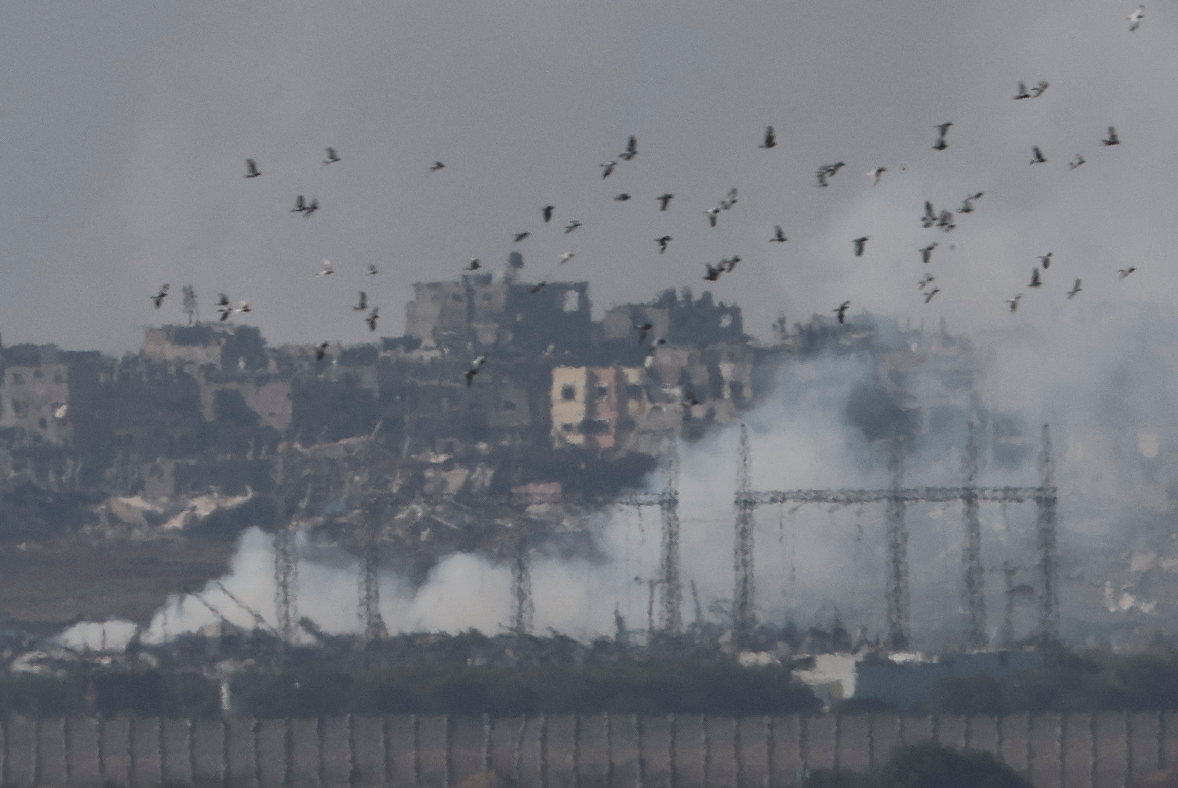 Birds fly as smoke rises over Gaza,