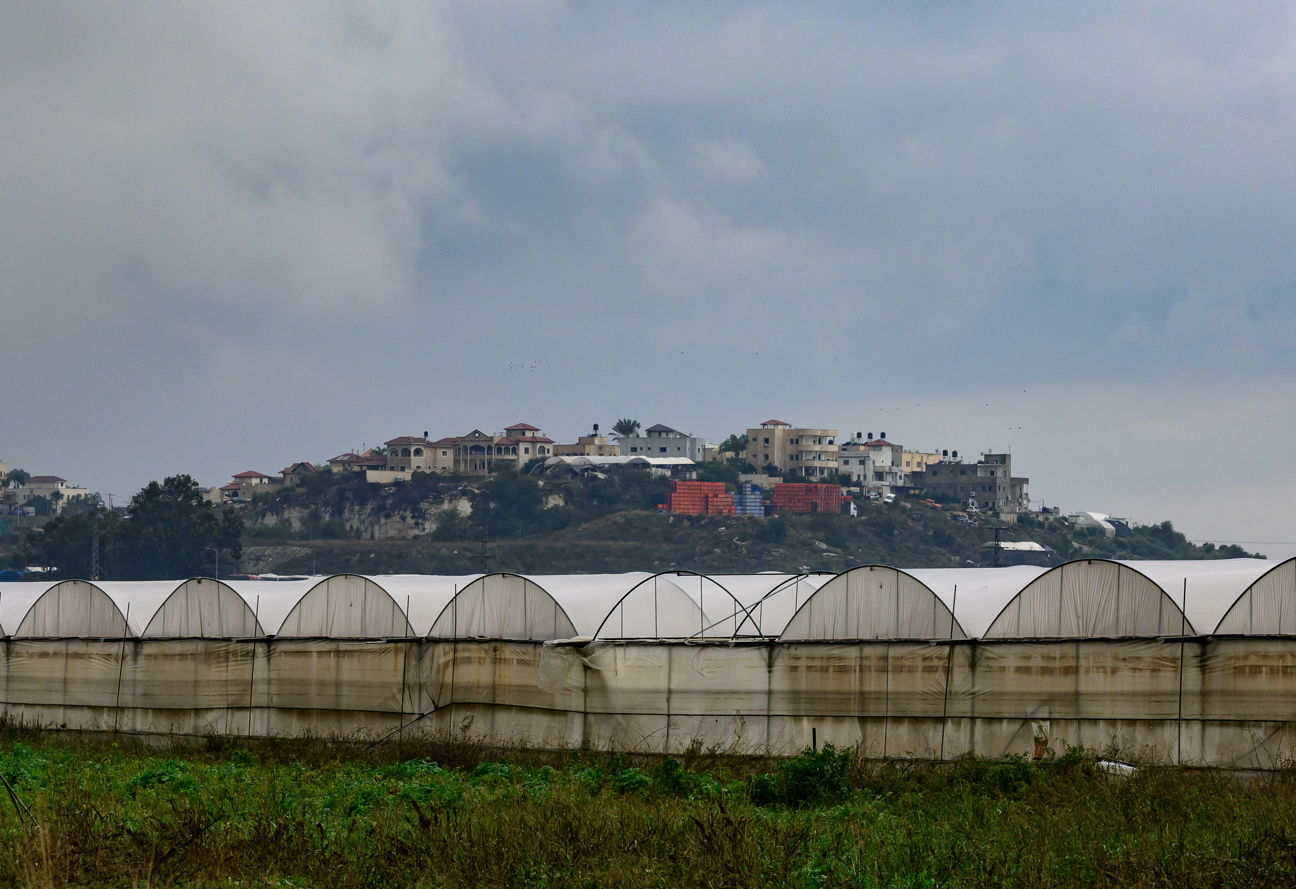 This picture shows a view of greenhouse farms in Baqa al-Gharbiya.