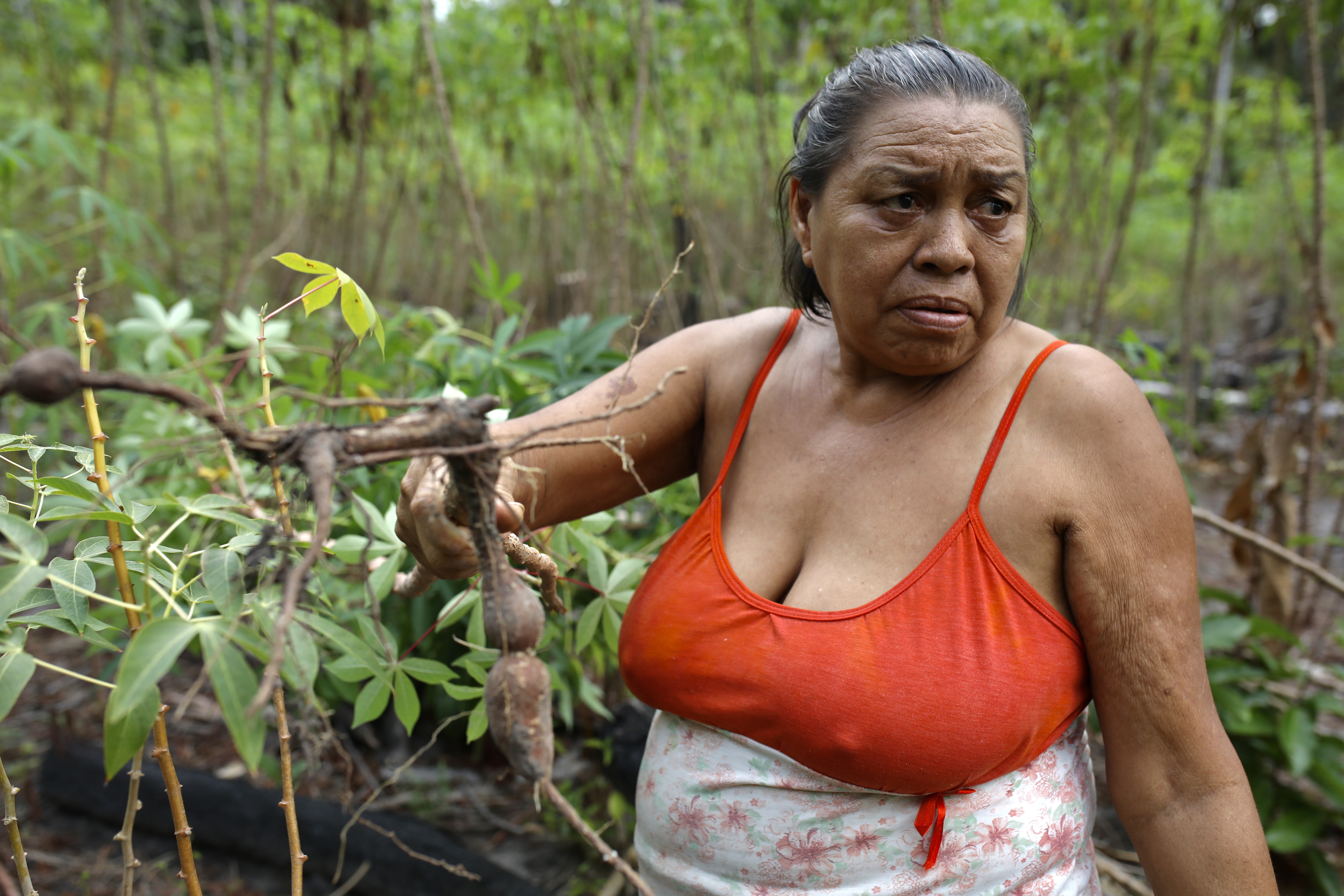 A woman in a tank top holds up a cassava root pulled from the farmland around her.
