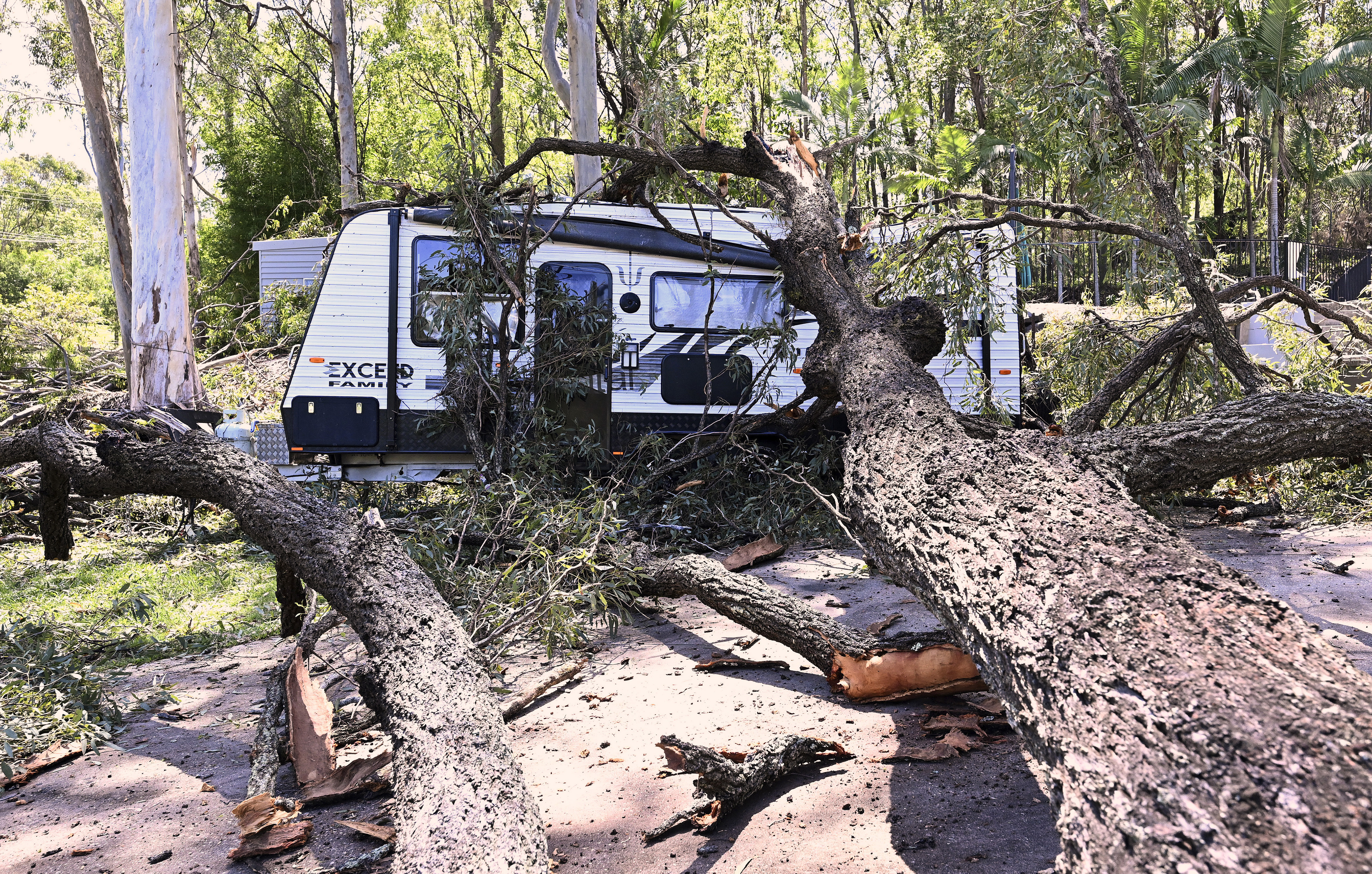 A caravan hit by a fallen tree near Australia's Gold Coast. The caravan is parked in a wooded area.
