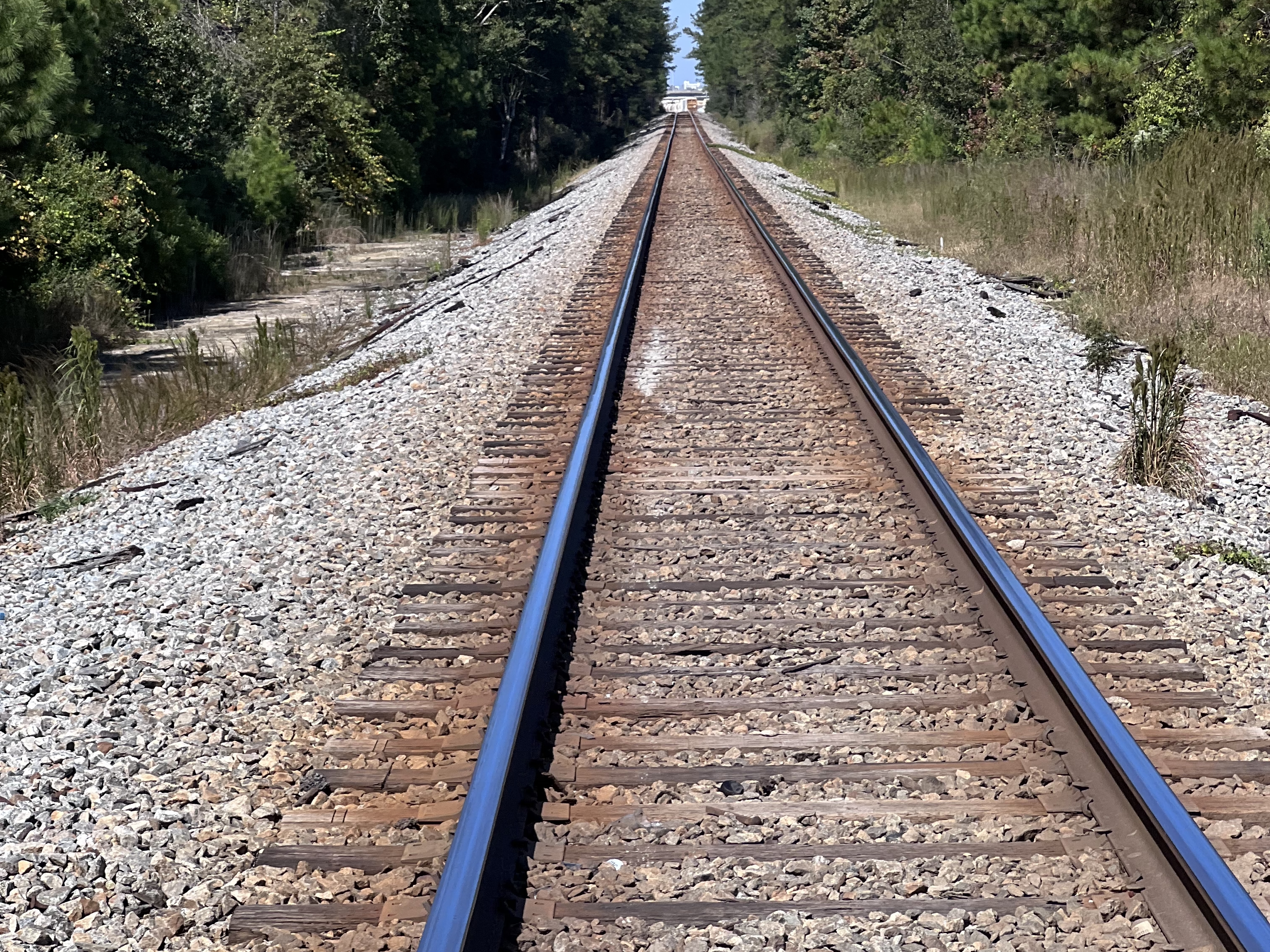 A railway track can be seen with trees on either side