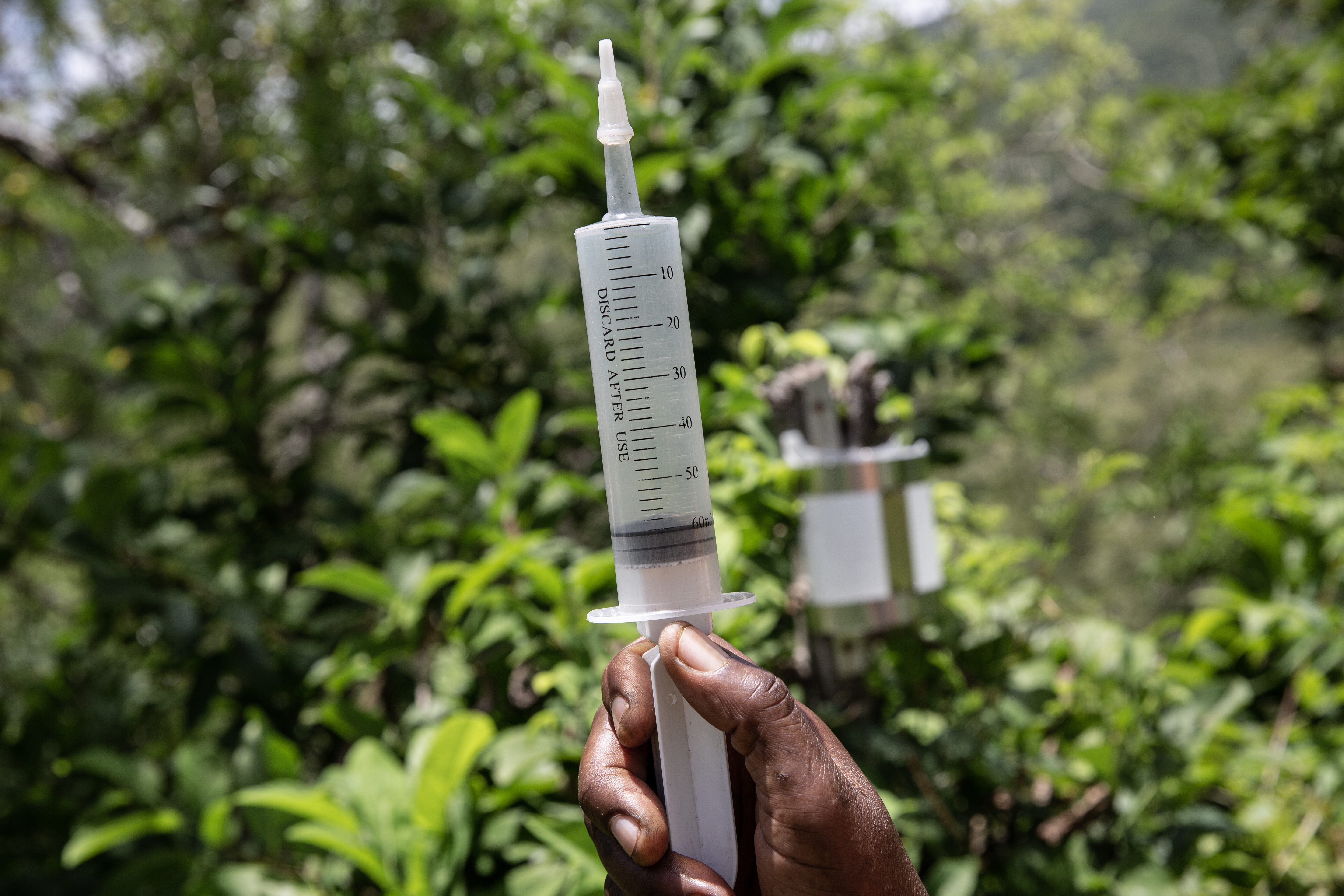 Tidorah uses a large garden syringe to measure rainfall from a small plastic container placed in her garden. She is part of an important mission to strengthen the climate and weather data for East Africa.